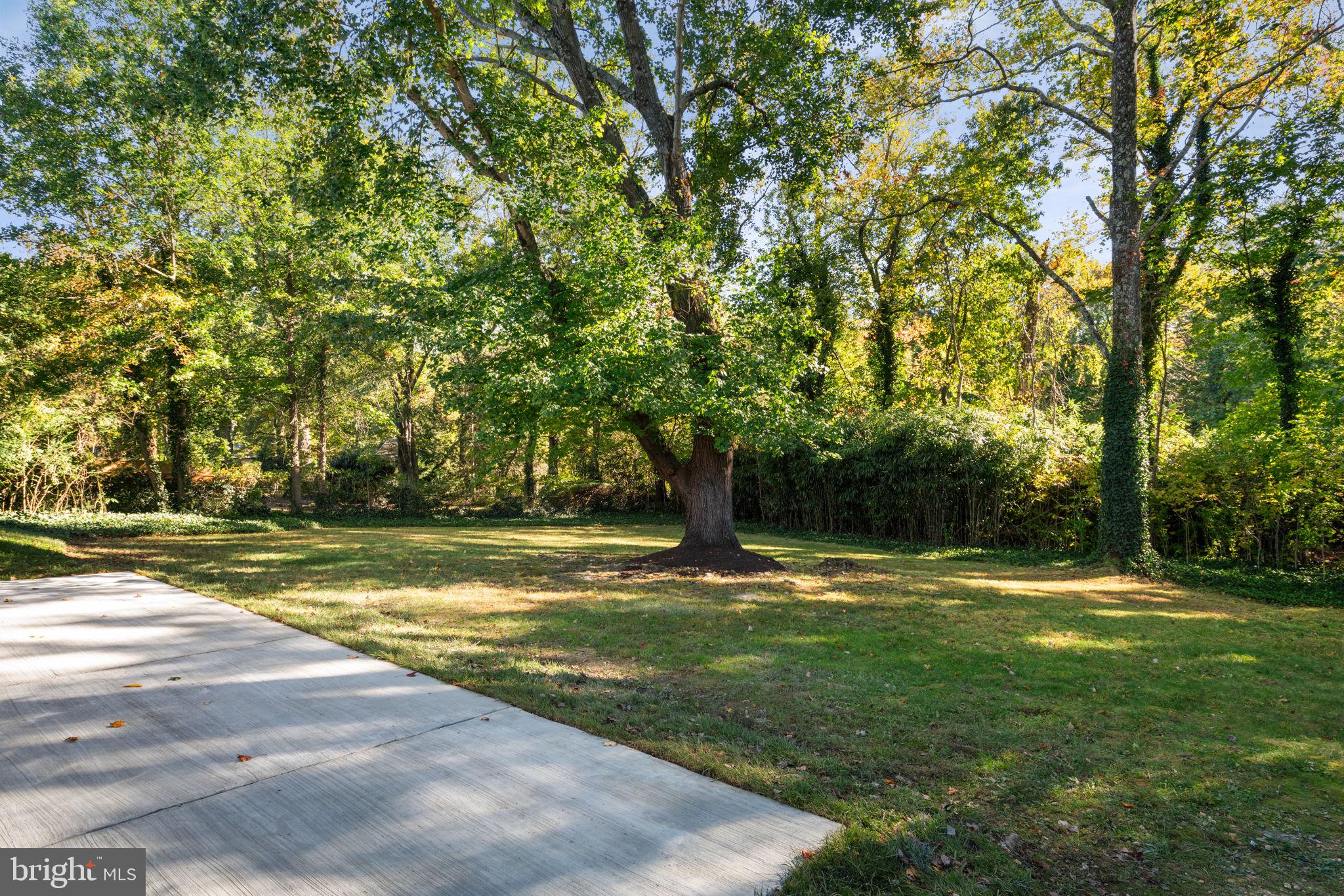 8801 Gateshead Road Alexandria, VA 22309 - Photo 48 of 52 Gallery Image 48