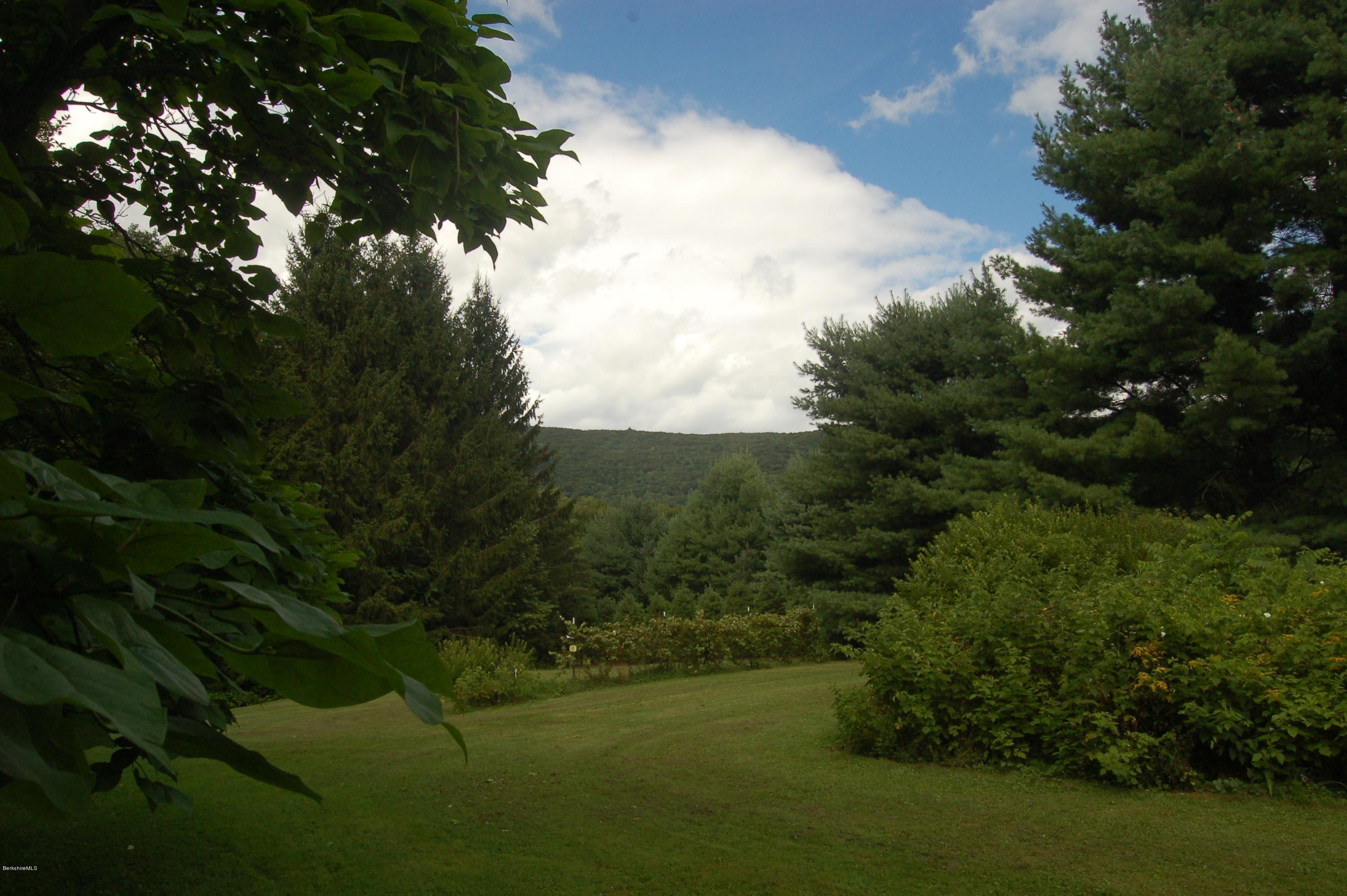134 West Center Road West Stockbridge, MA 01266 - Photo 9 of 28 a view of a lake with a yard