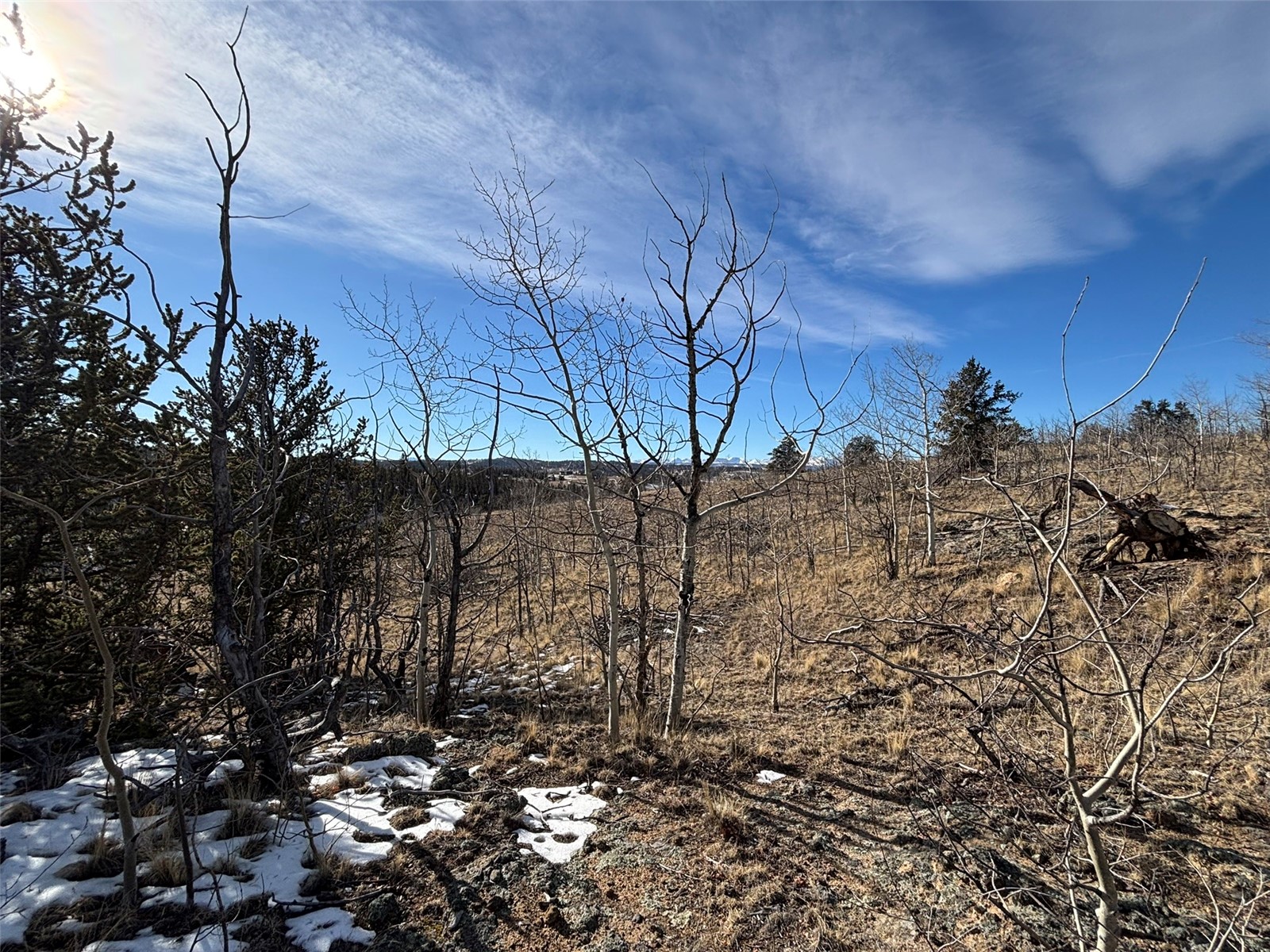 29 Strelets Way Como, CO 80456 - Photo 20 of 21 a view of a dry yard with a tree