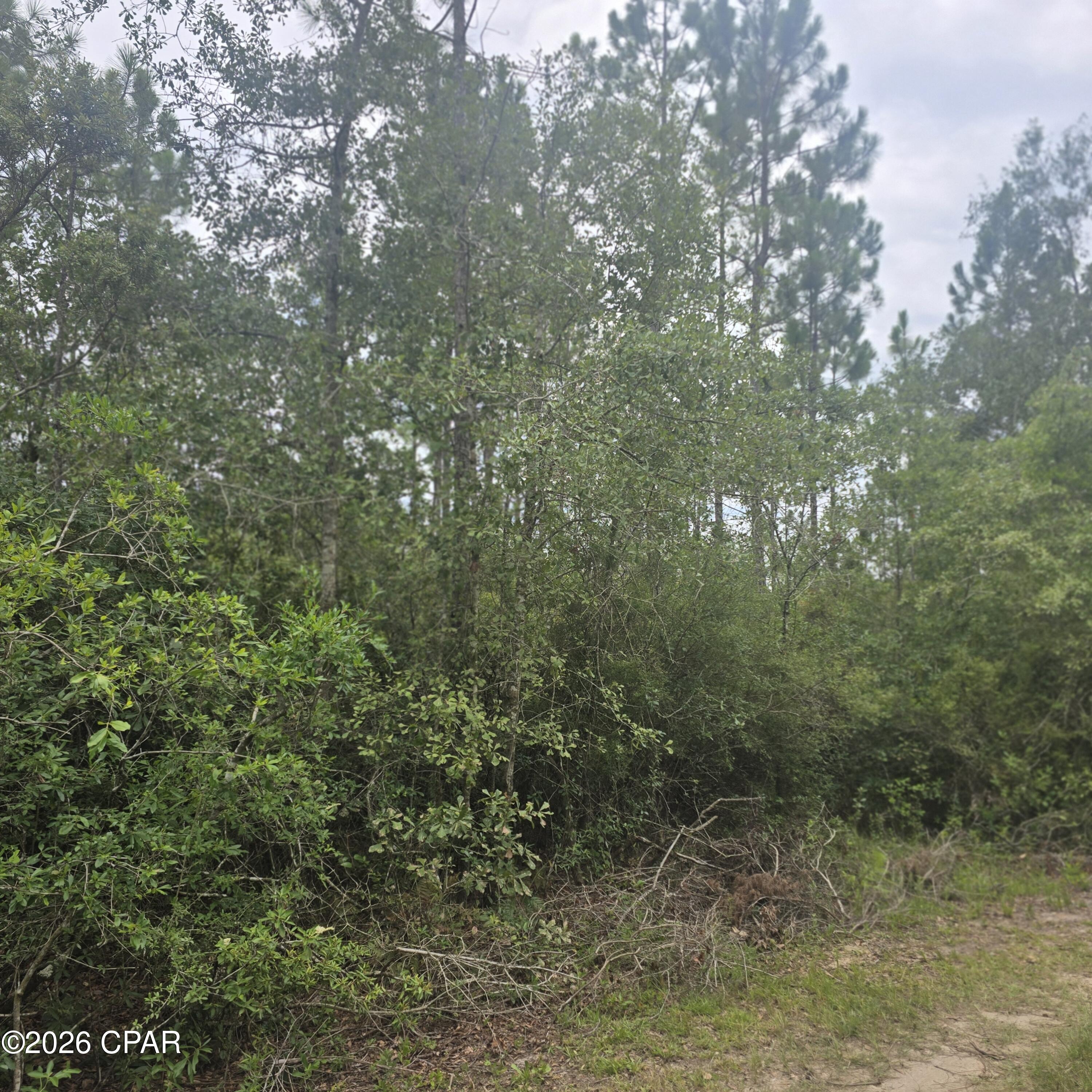 10320 River Alley Road Youngstown, FL 32466 - Photo 1 of 6 Gallery Image 1