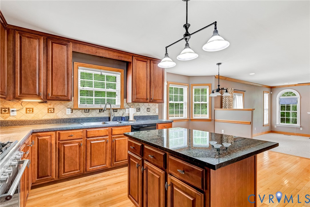 15298 Devonwood Road Montpelier, VA 23192 - Photo 29 of 83