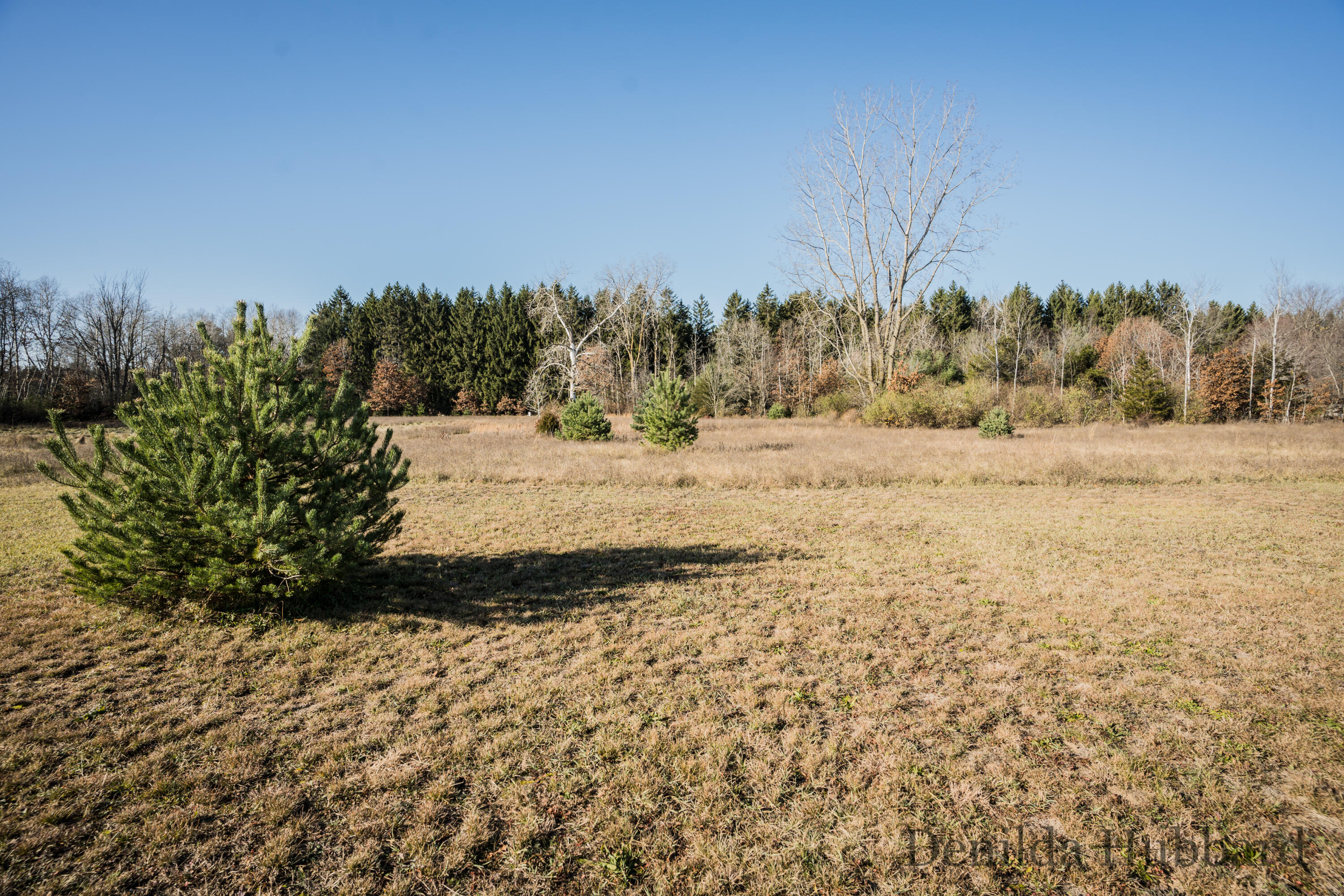 7430 South Garlock Road Carson City, MI 48811 - Photo 50 of 53 DSC07524