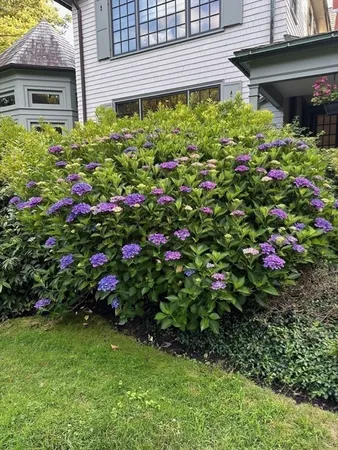 $2,650,000 | 45 Forest Avenue, Swampscott, MA 01907