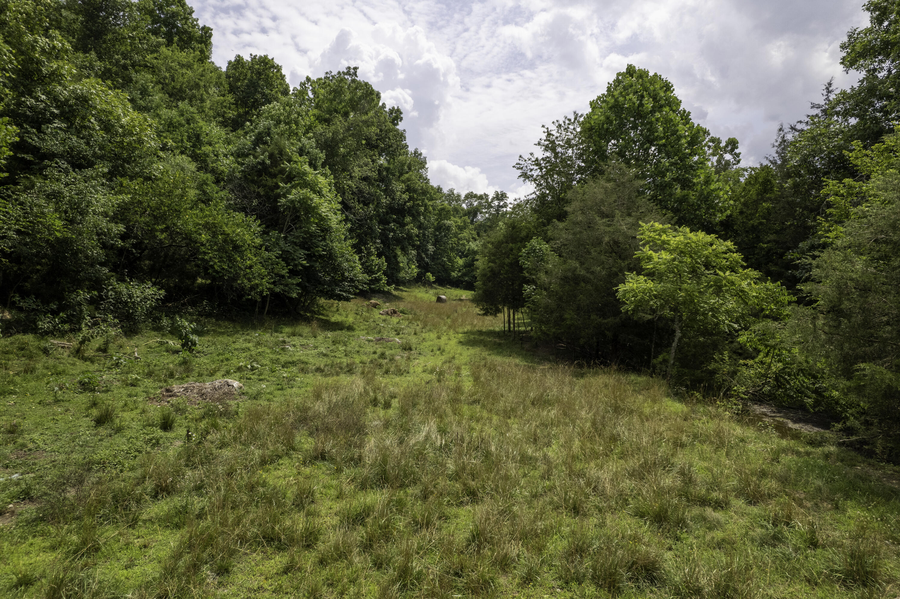 2000 Gosser Ridge Road Liberty, KY 42539 - Photo 32 of 33 DJI_0011