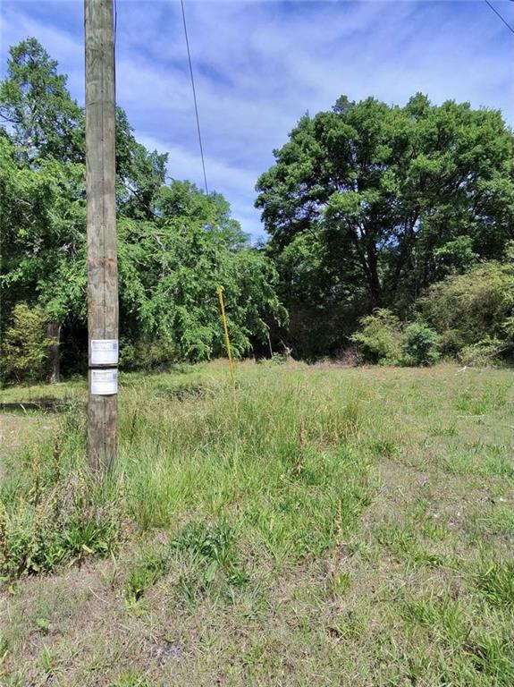 479 Sandtown Road Southeast Cartersville, GA 30121 - Photo 11 of 20 a view of a garden
