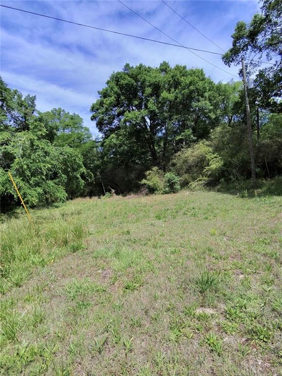 479 Sandtown Road Southeast Cartersville, GA 30121 - Photo 12 of 20 a view of a field