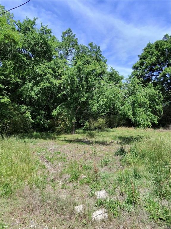 479 Sandtown Road Southeast Cartersville, GA 30121 - Photo 14 of 20 a view of a yard with a tree