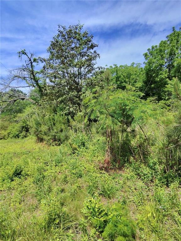 479 Sandtown Road Southeast Cartersville, GA 30121 - Photo 7 of 20 a view of a garden