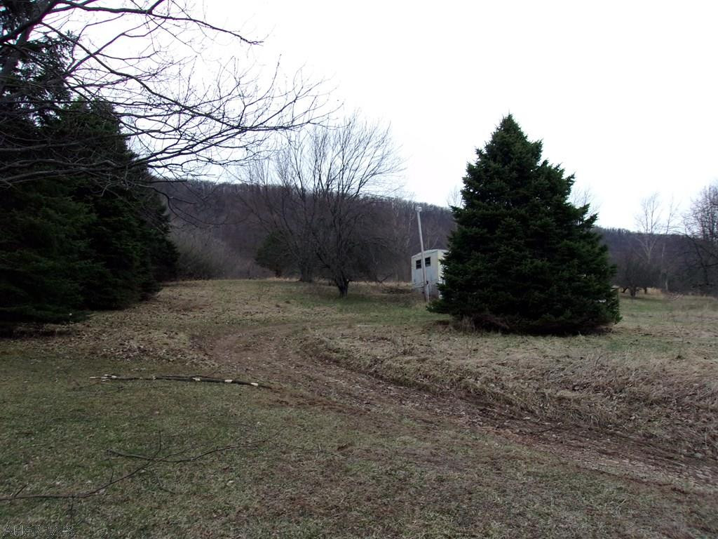 939 Helixville Road Schellsburg, PA 15559 - Photo 2 of 15