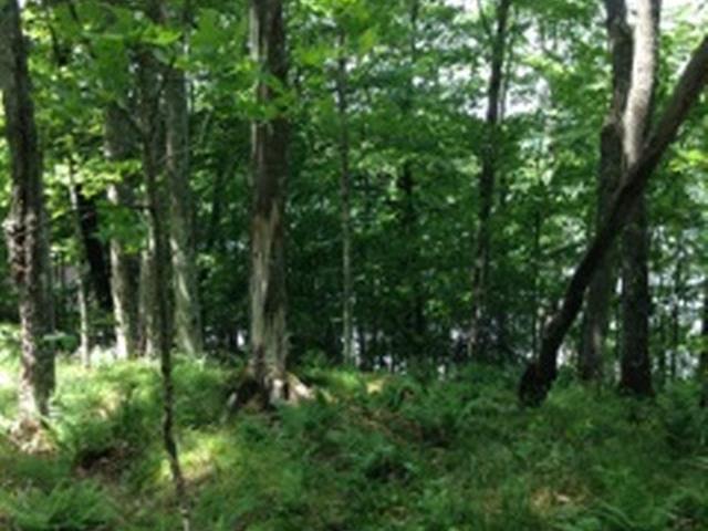 On Ormes Road, Unit LOT B Presque Isle, WI 54557 - Photo 4 of 8 Gallery Image 4