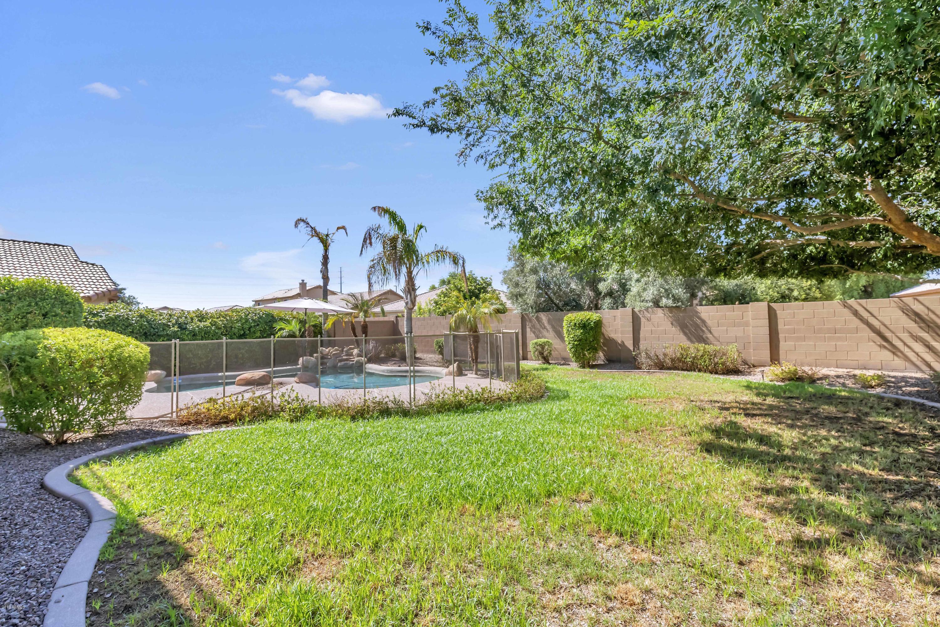 3335 East Chickadee Road Gilbert, AZ 85297 - Photo 24 of 38 AMAZING BACKYARD