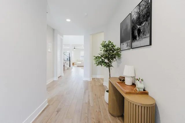 a room with furniture and potted plant