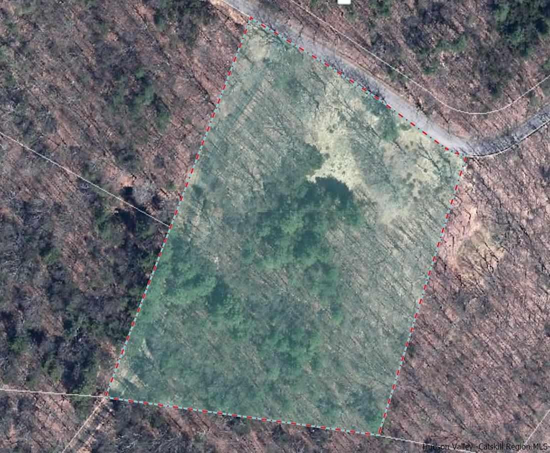 143 Beaverkill Road Kingston, NY 12401 - Photo 3 of 8 a big yard with lots of green space