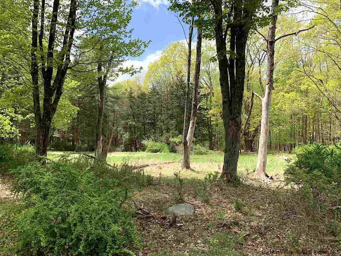 143 Beaverkill Road Kingston, NY 12401 - Photo 4 of 8 a view of outdoor space with trees