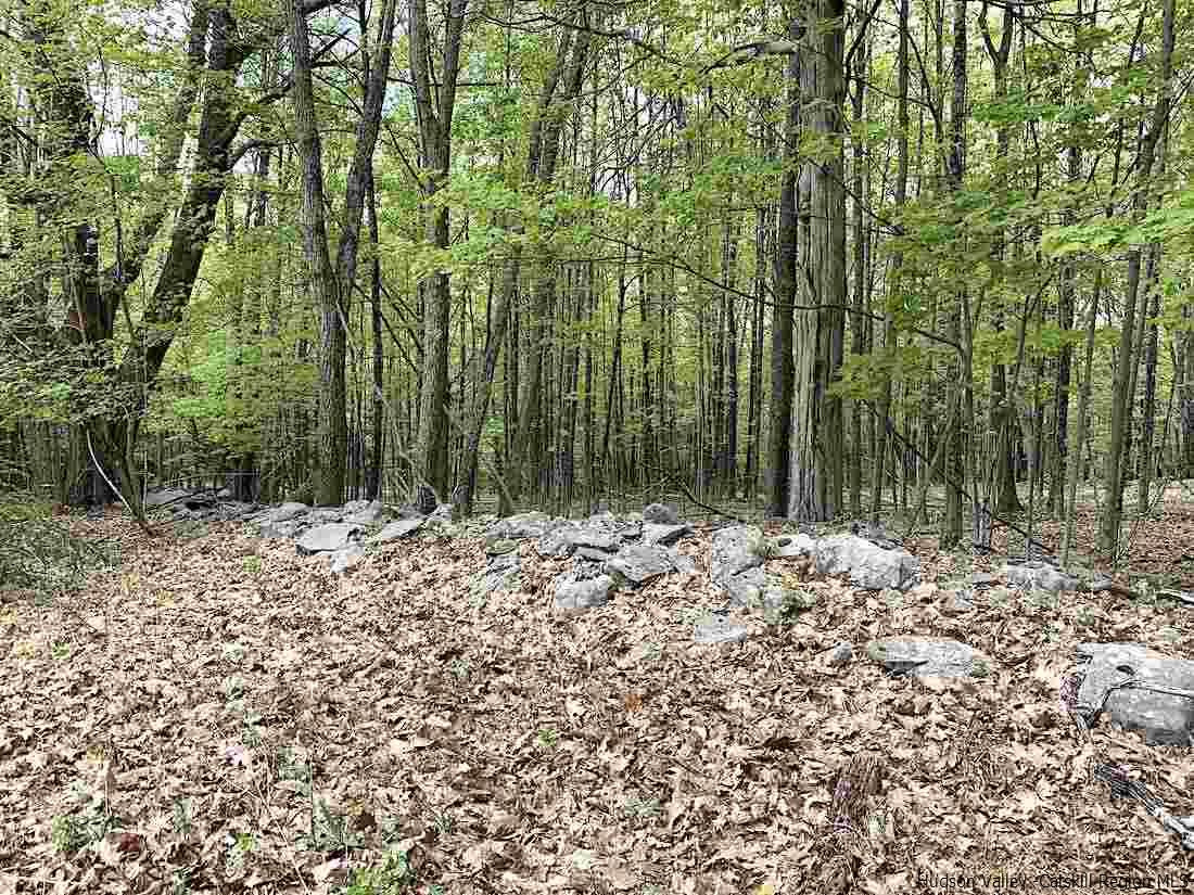 143 Beaverkill Road Kingston, NY 12401 - Photo 6 of 8 a view of a yard with plants and large trees