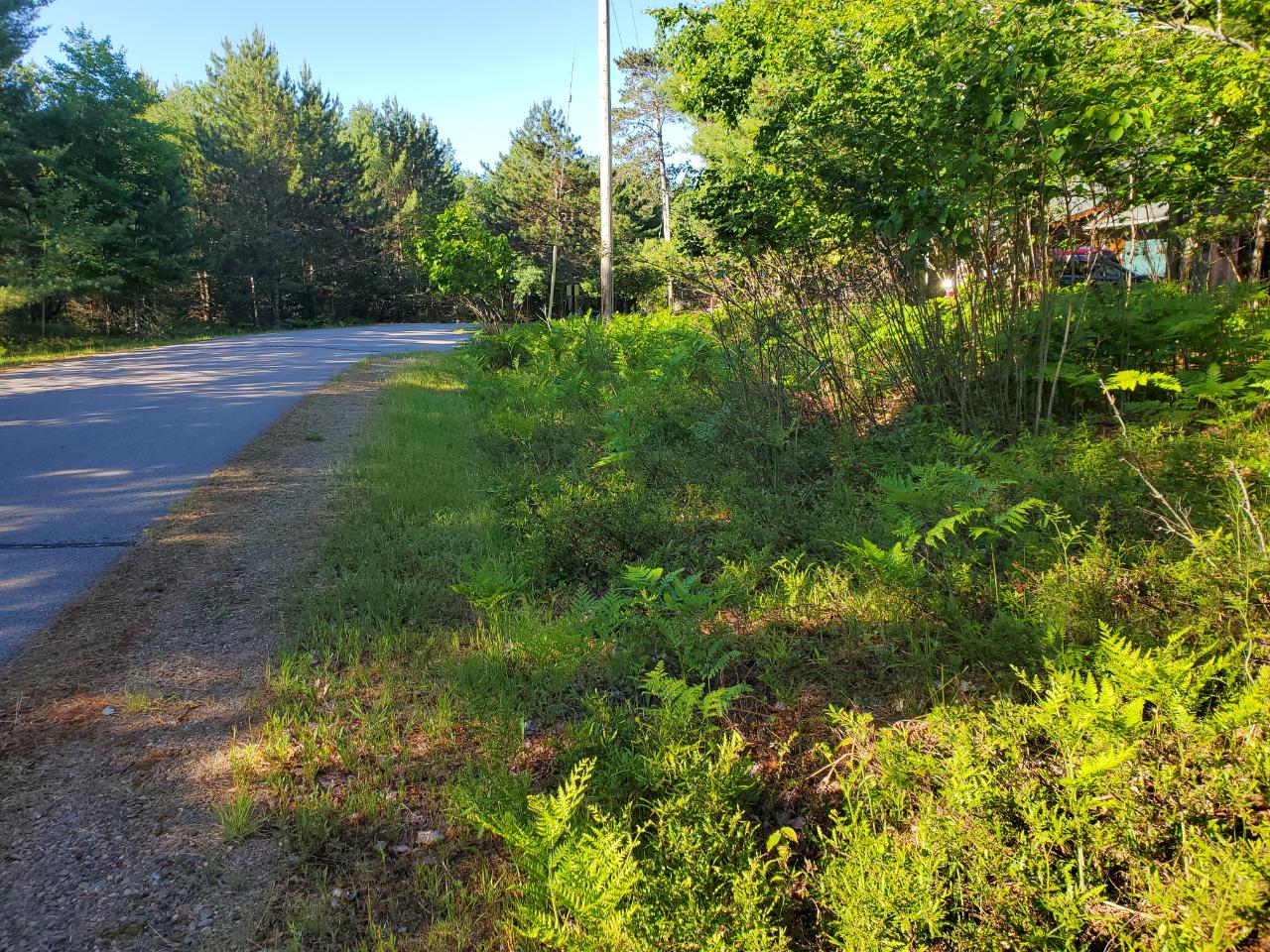 On North Star Road Eagle River, WI 54521 - Photo 3 of 6 Gallery Image 3