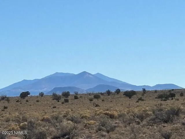 a view of a lush green hillside and a houses