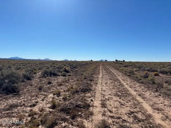 an aerial view of mountain with trees in the background