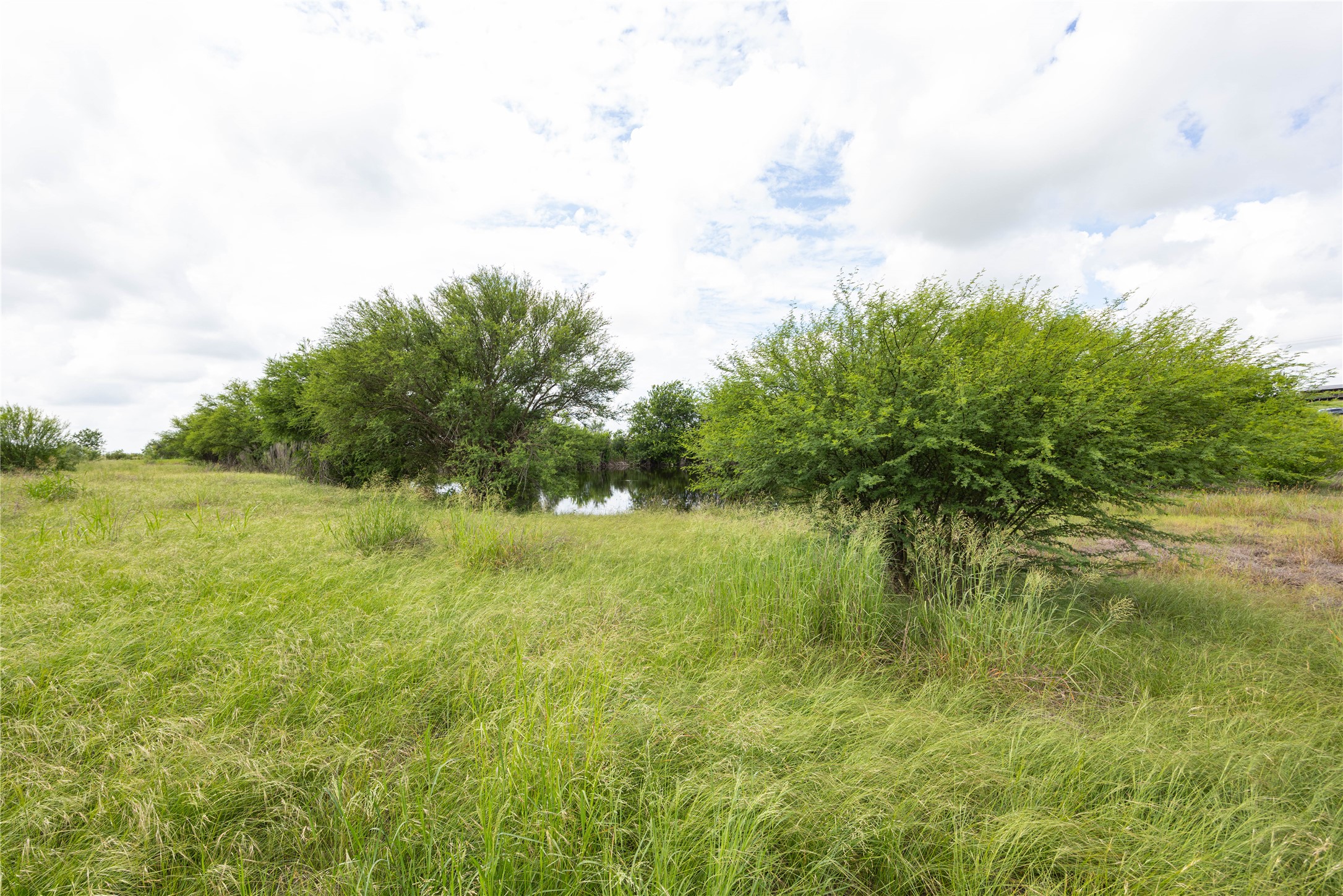 6868 Pfeil Road Schertz, TX 78154 - Photo 7 of 14 a view of a garden with plants and large trees