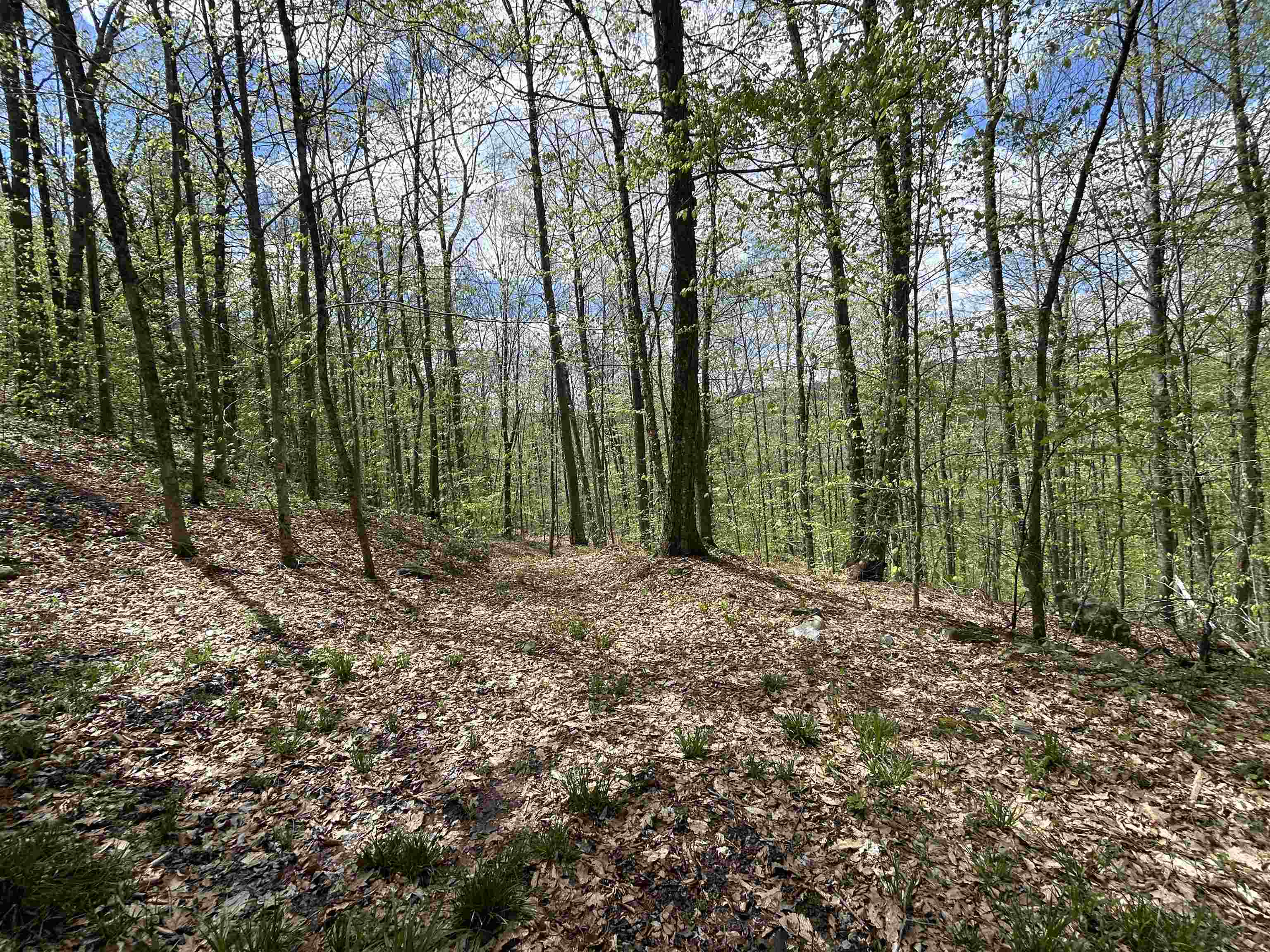 188 Rattlesnake Mountain Road Townshend, VT 05353 - Photo 12 of 39