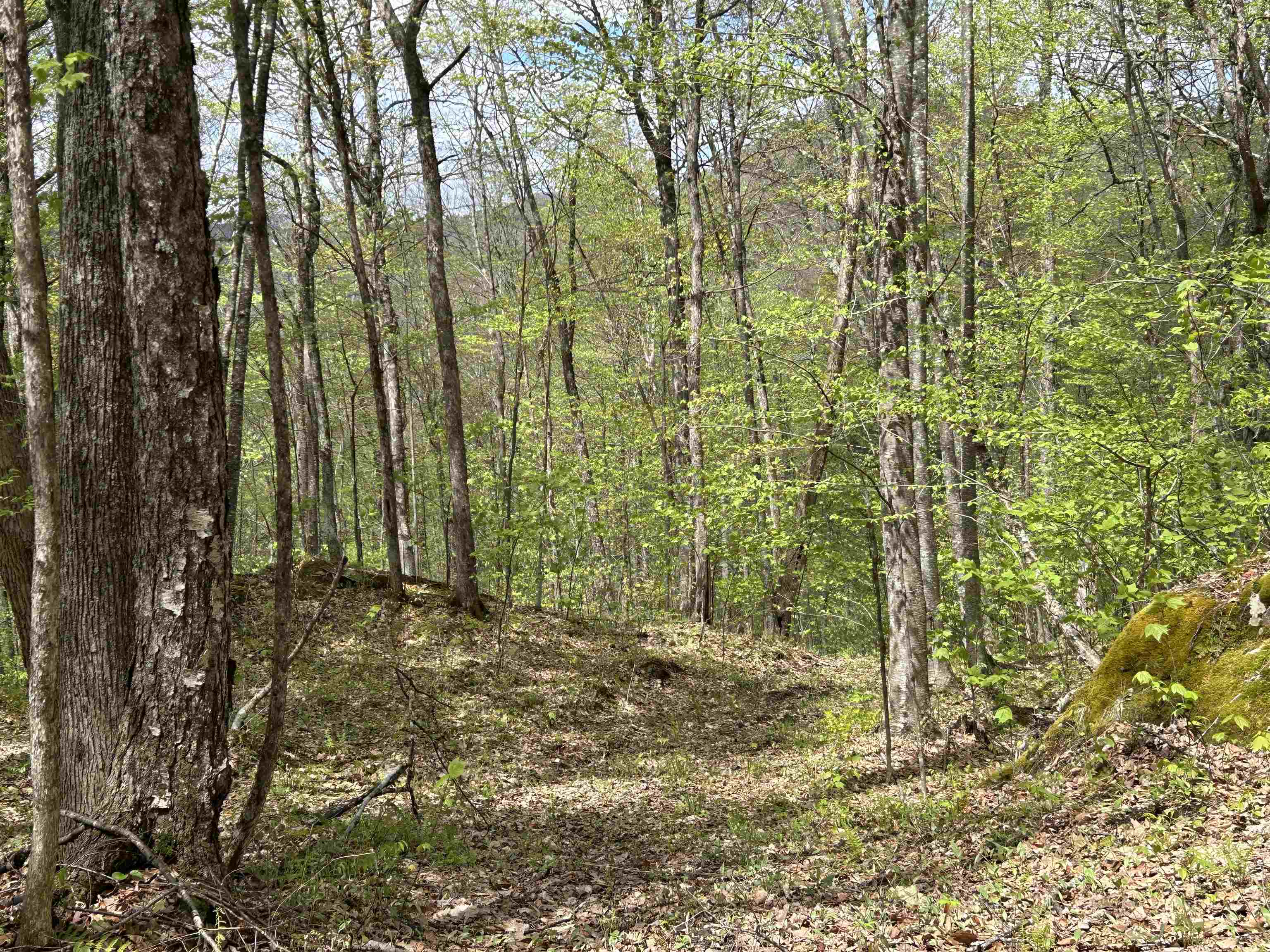 188 Rattlesnake Mountain Road Townshend, VT 05353 - Photo 13 of 39