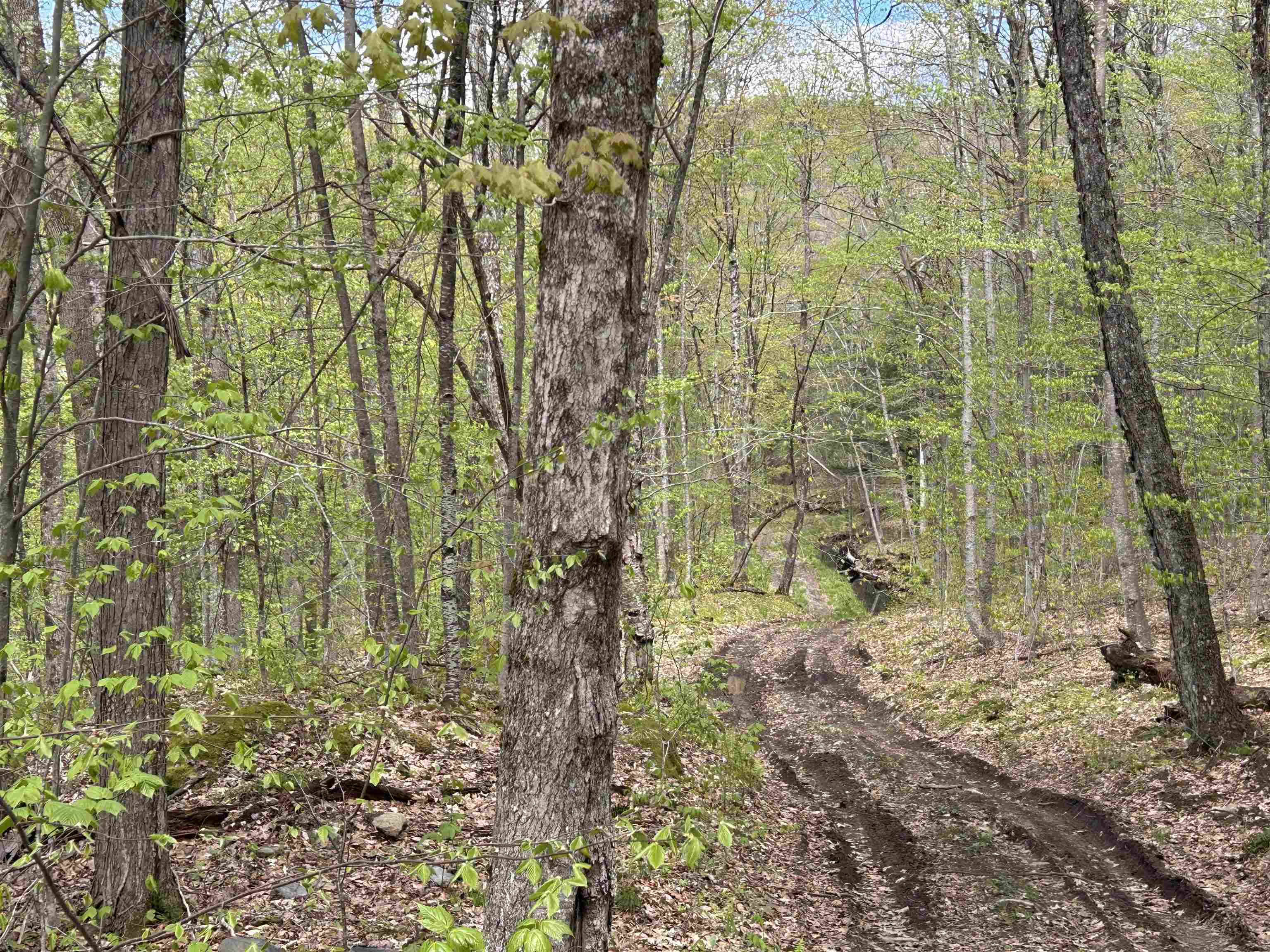 188 Rattlesnake Mountain Road Townshend, VT 05353 - Photo 14 of 39