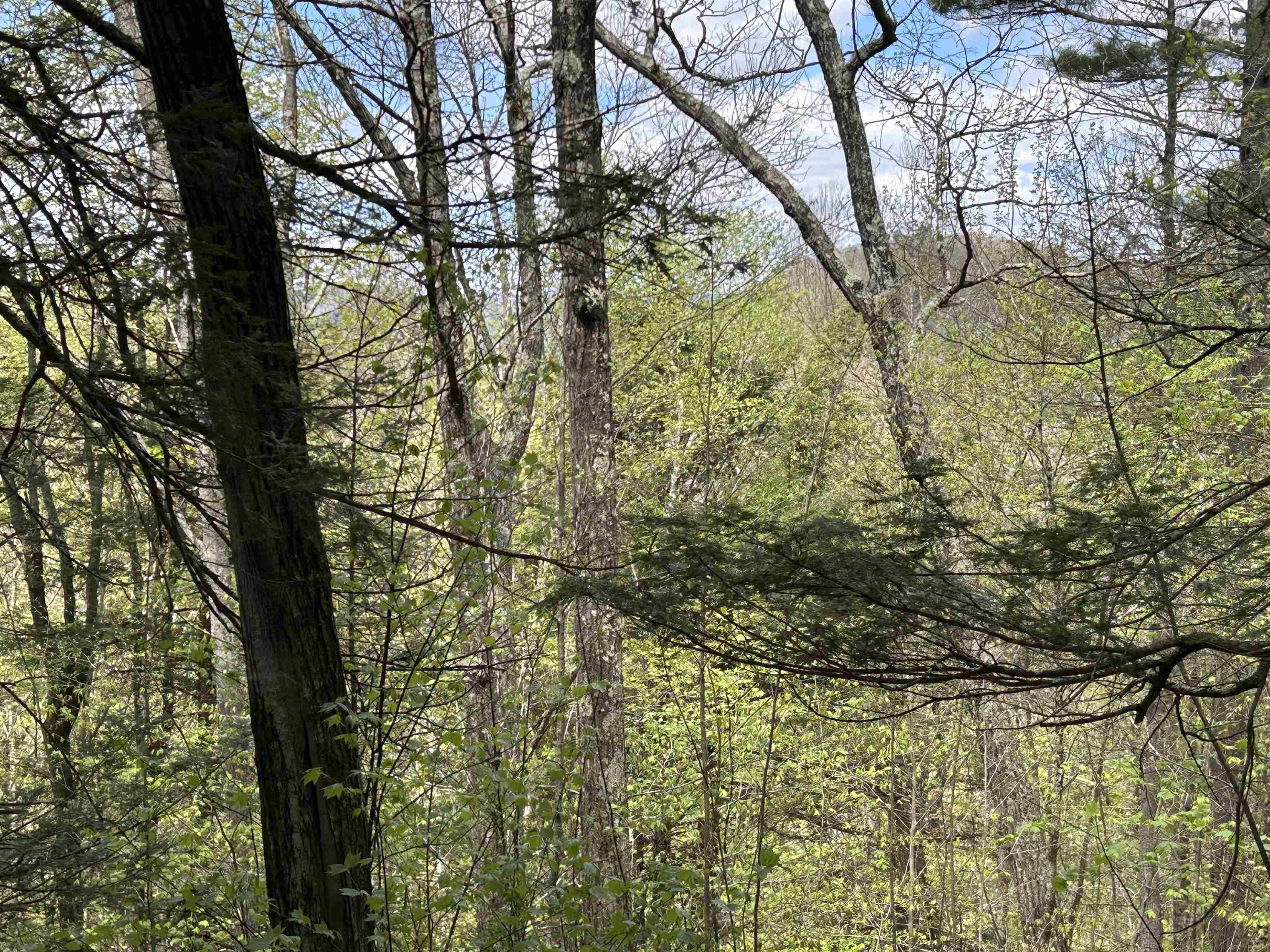 188 Rattlesnake Mountain Road Townshend, VT 05353 - Photo 16 of 39