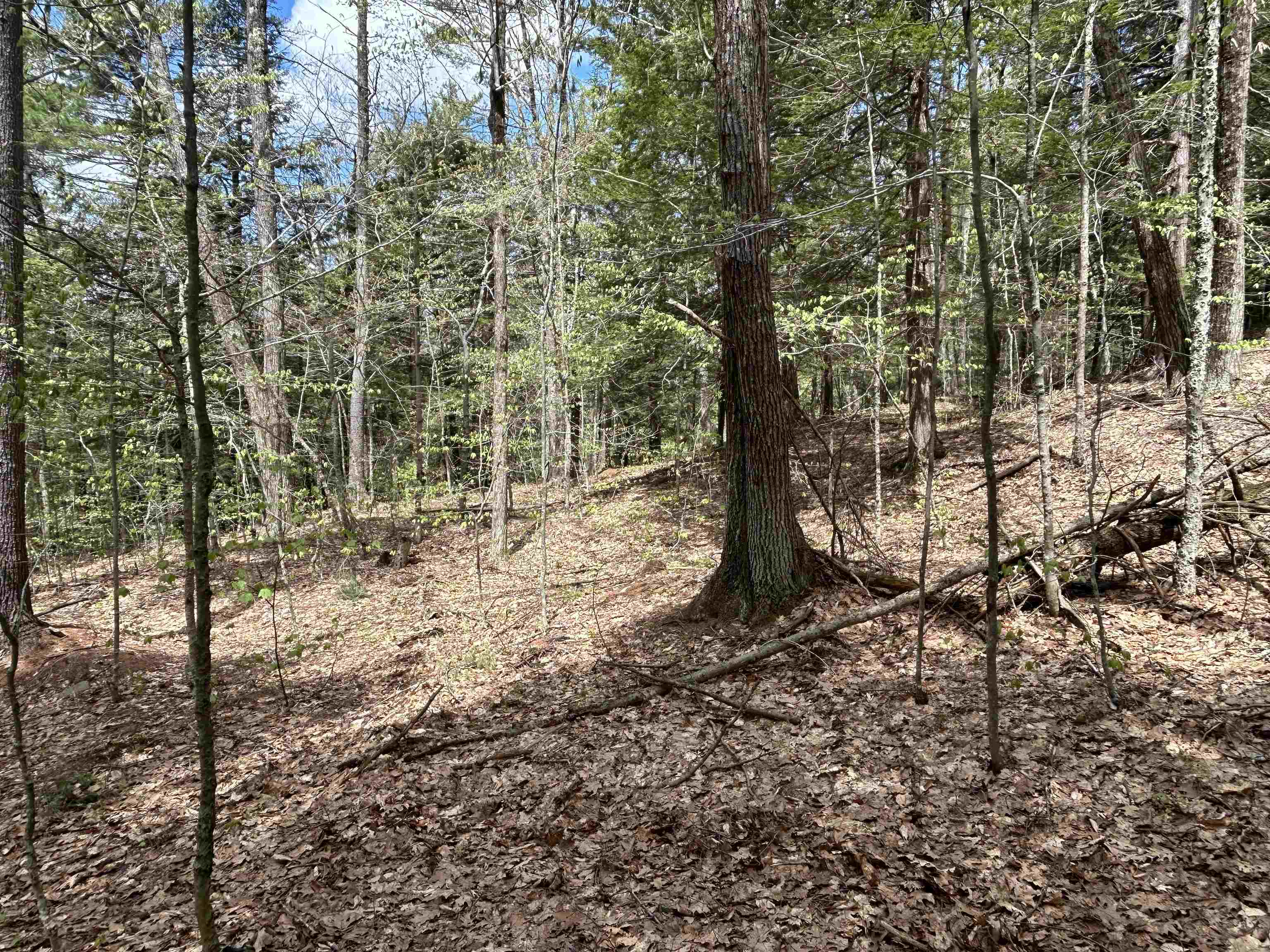 188 Rattlesnake Mountain Road Townshend, VT 05353 - Photo 17 of 39