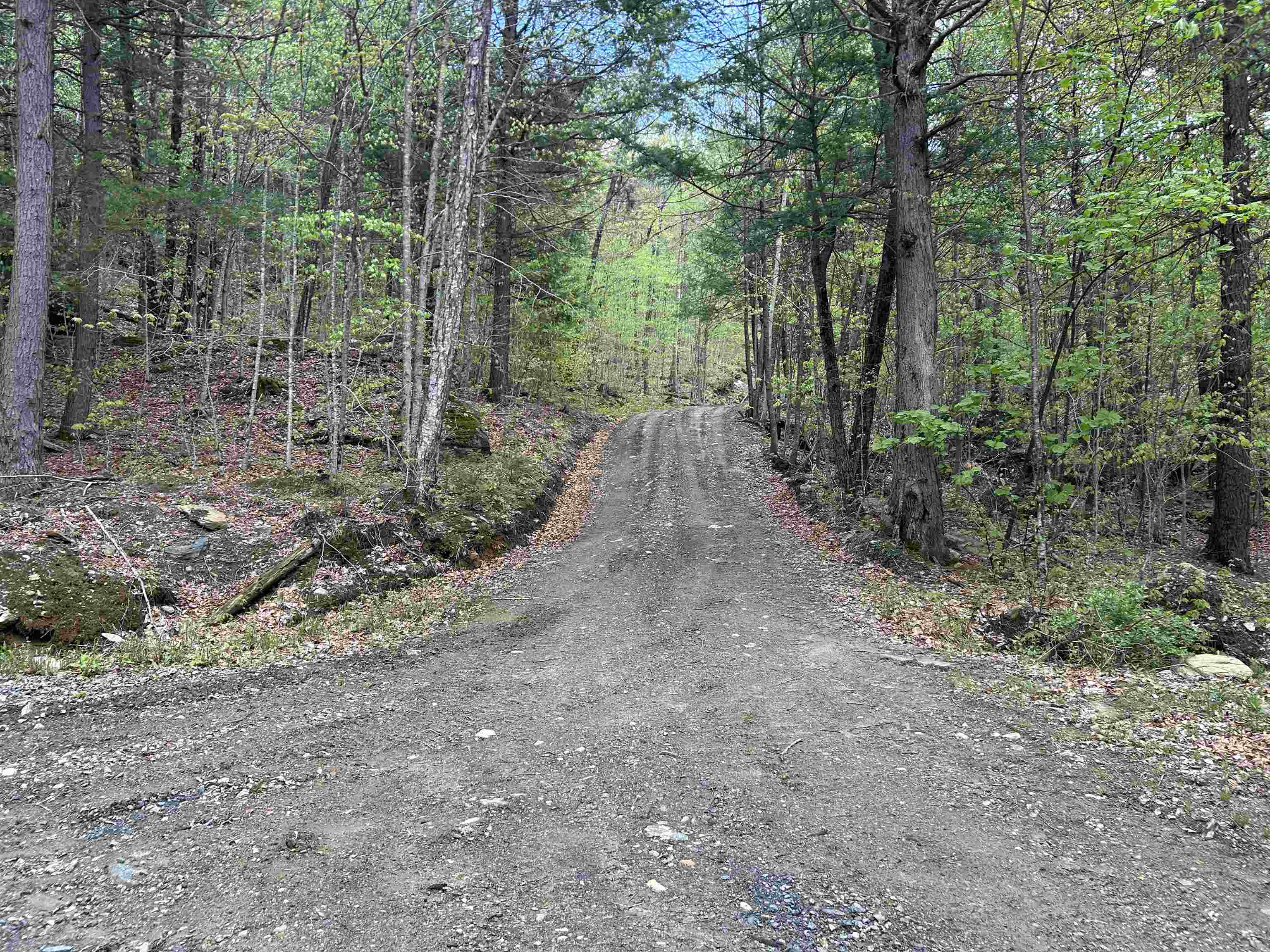 188 Rattlesnake Mountain Road Townshend, VT 05353 - Photo 2 of 39