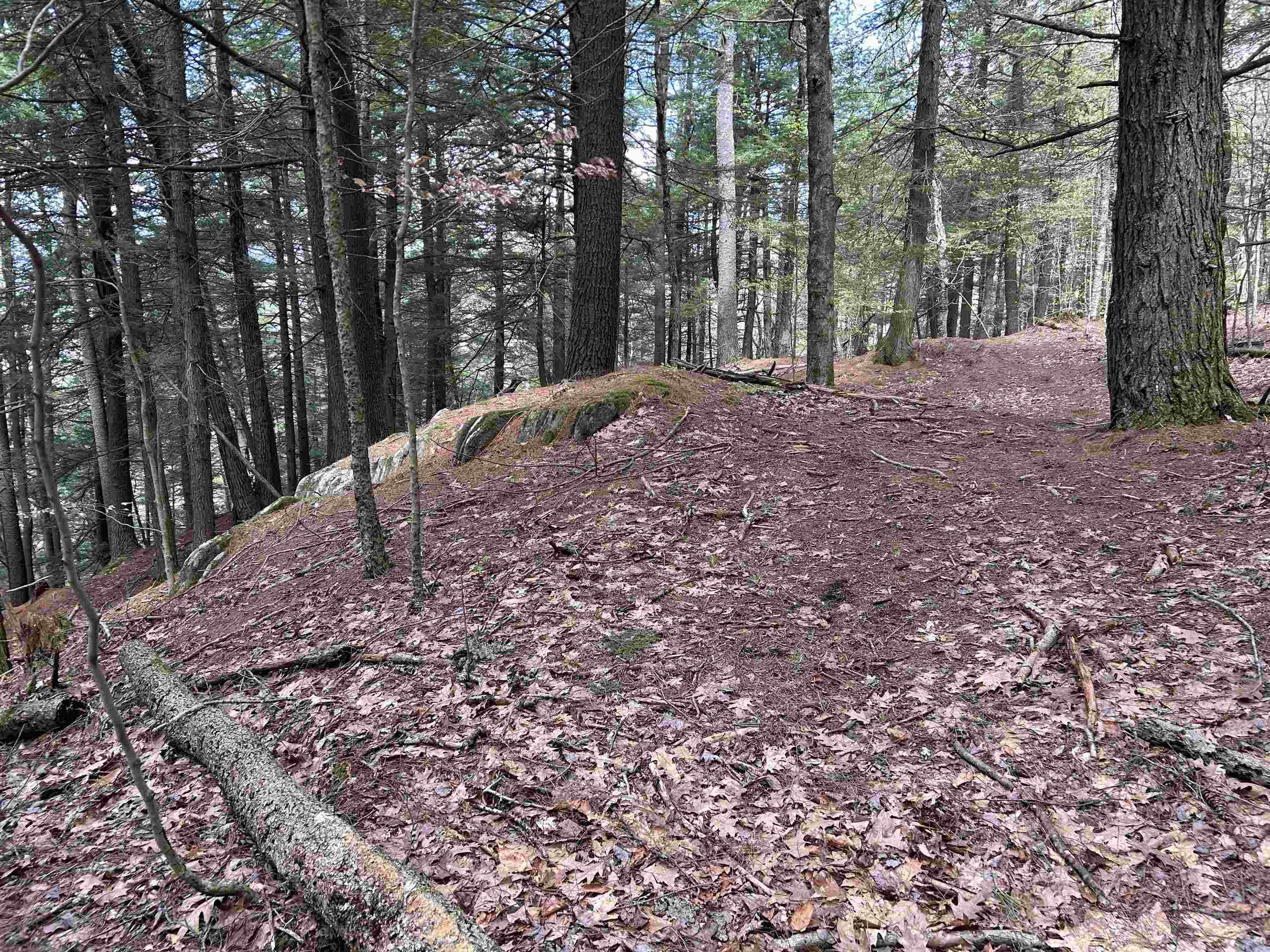 188 Rattlesnake Mountain Road Townshend, VT 05353 - Photo 21 of 39