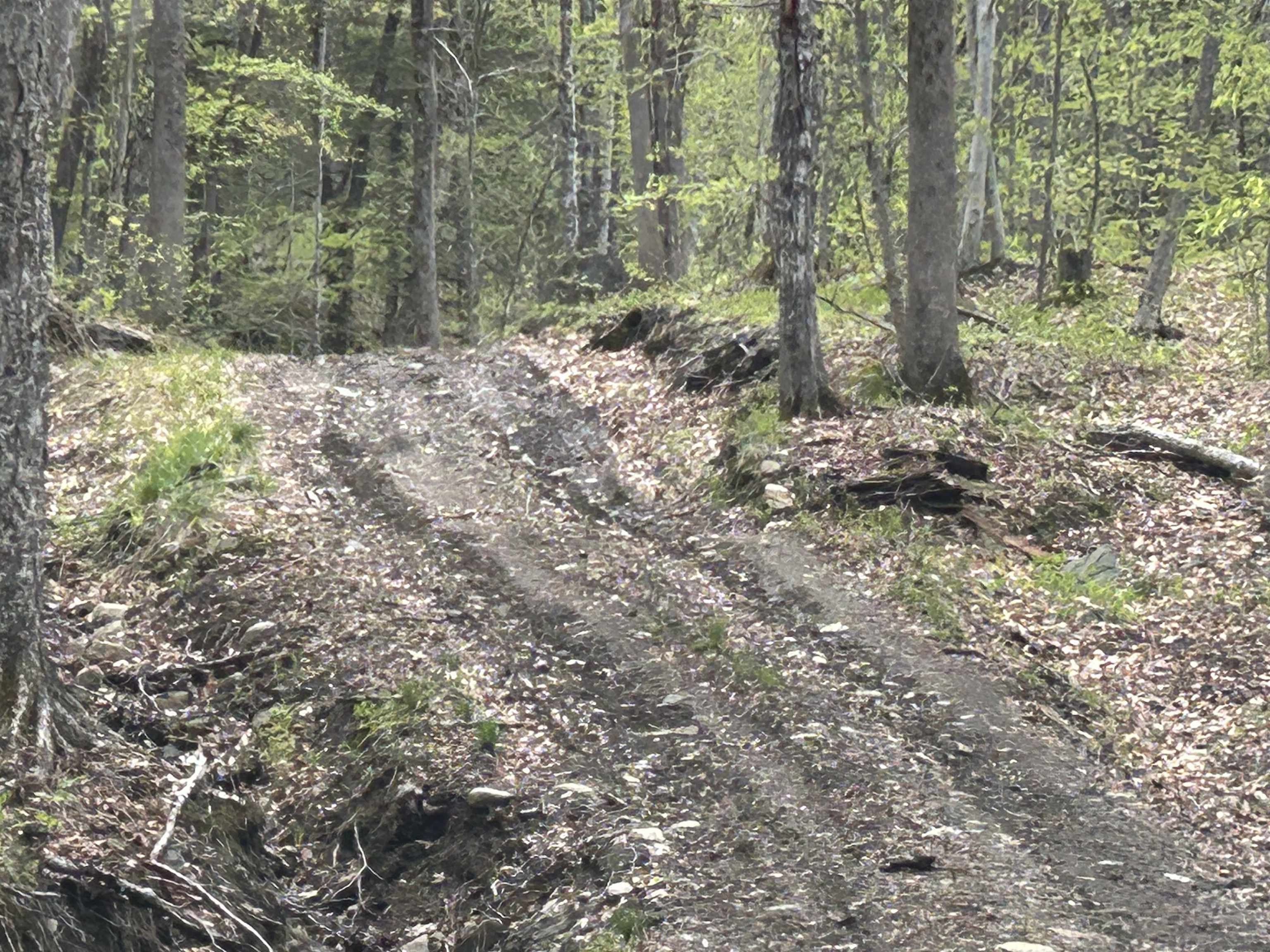 188 Rattlesnake Mountain Road Townshend, VT 05353 - Photo 22 of 39