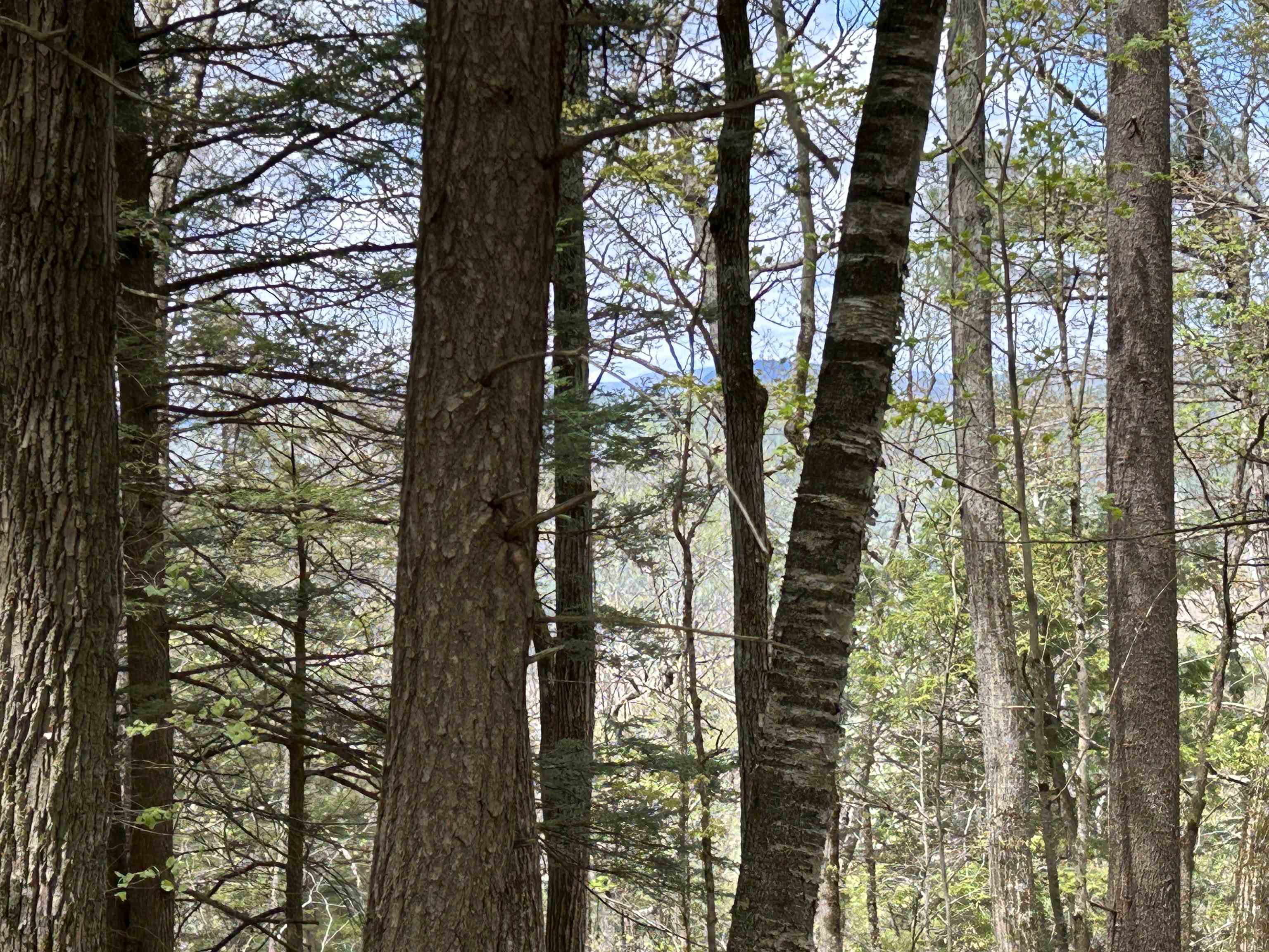 188 Rattlesnake Mountain Road Townshend, VT 05353 - Photo 23 of 39