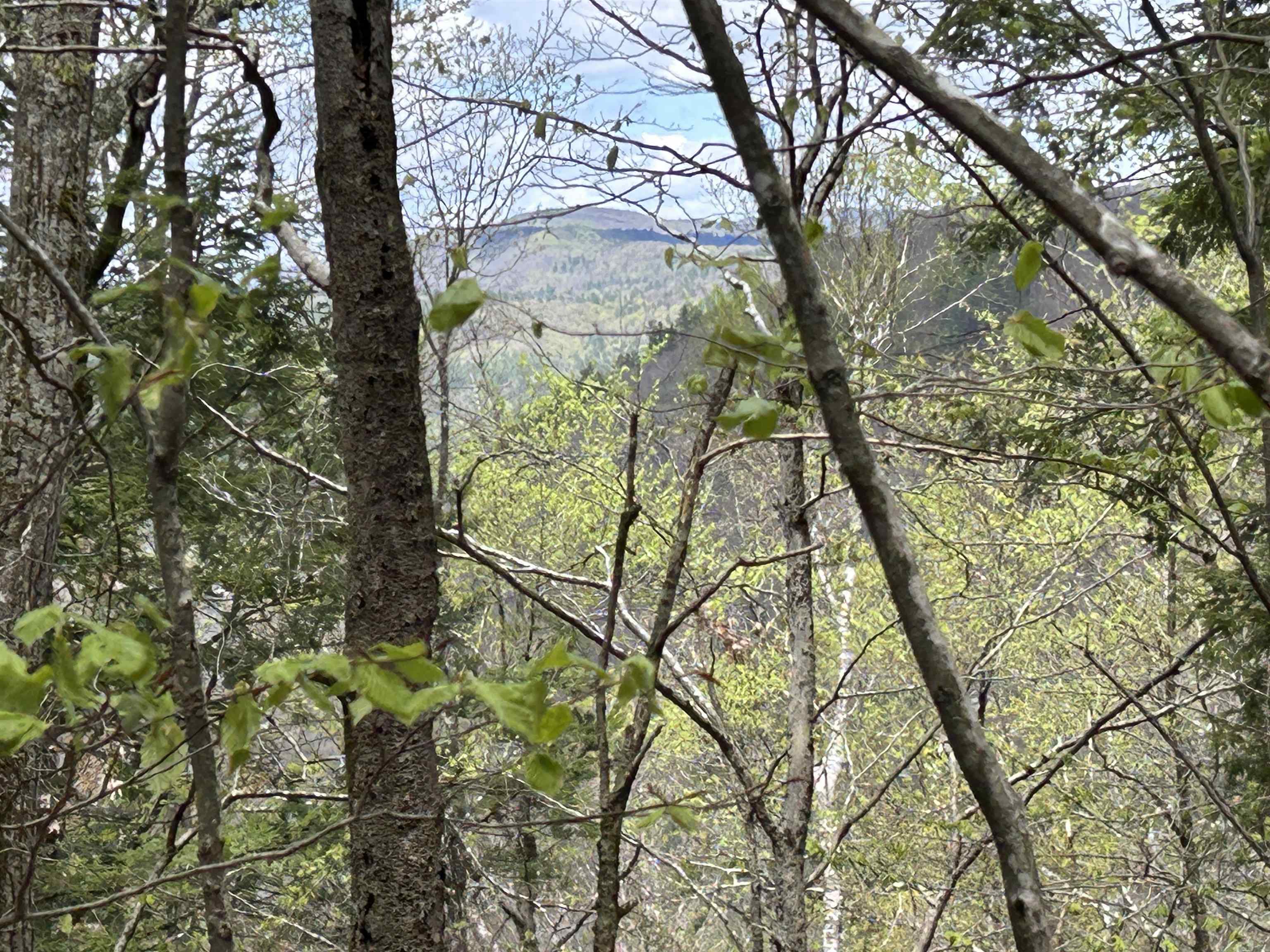 188 Rattlesnake Mountain Road Townshend, VT 05353 - Photo 24 of 39