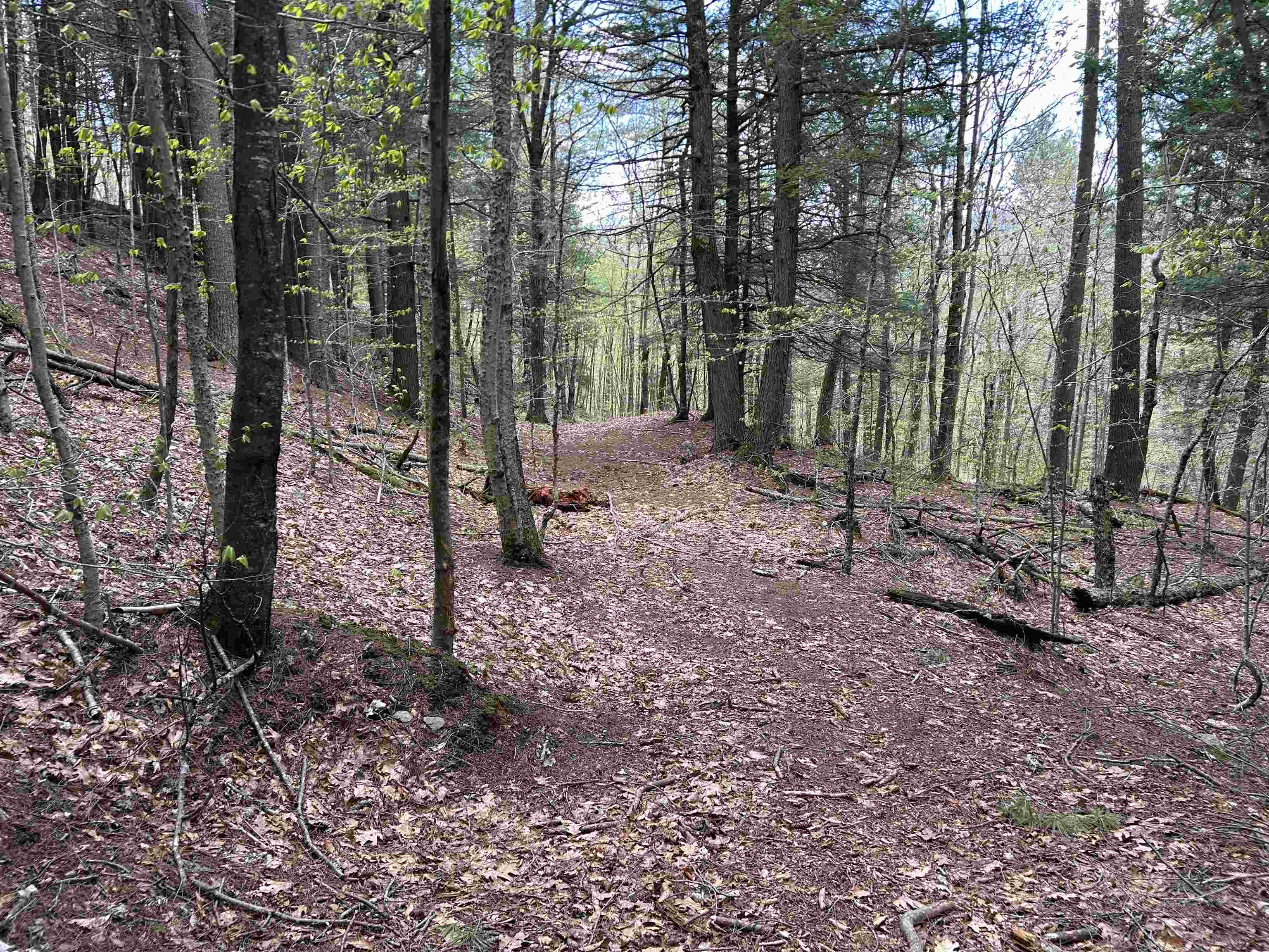 188 Rattlesnake Mountain Road Townshend, VT 05353 - Photo 25 of 39
