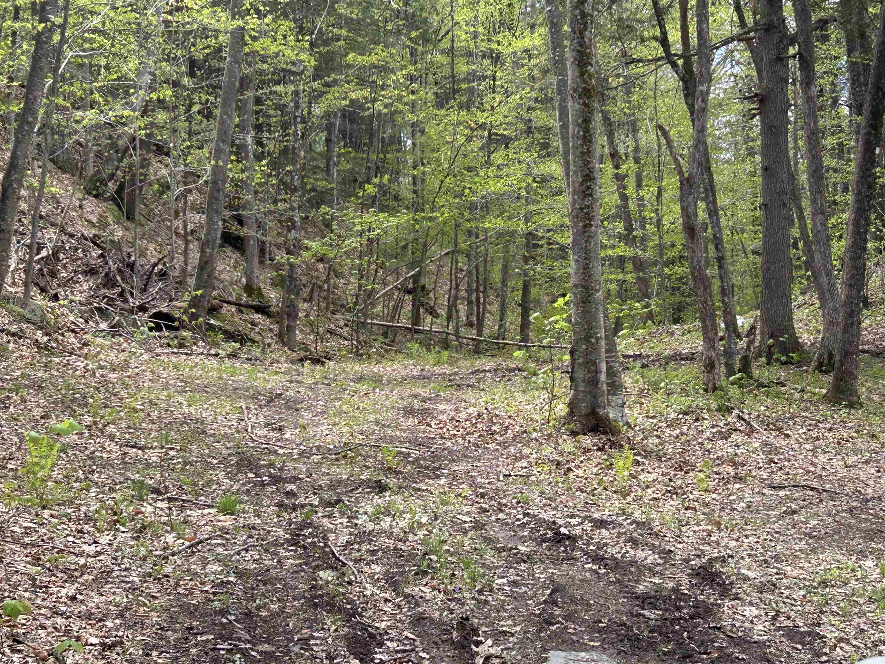 188 Rattlesnake Mountain Road Townshend, VT 05353 - Photo 26 of 39