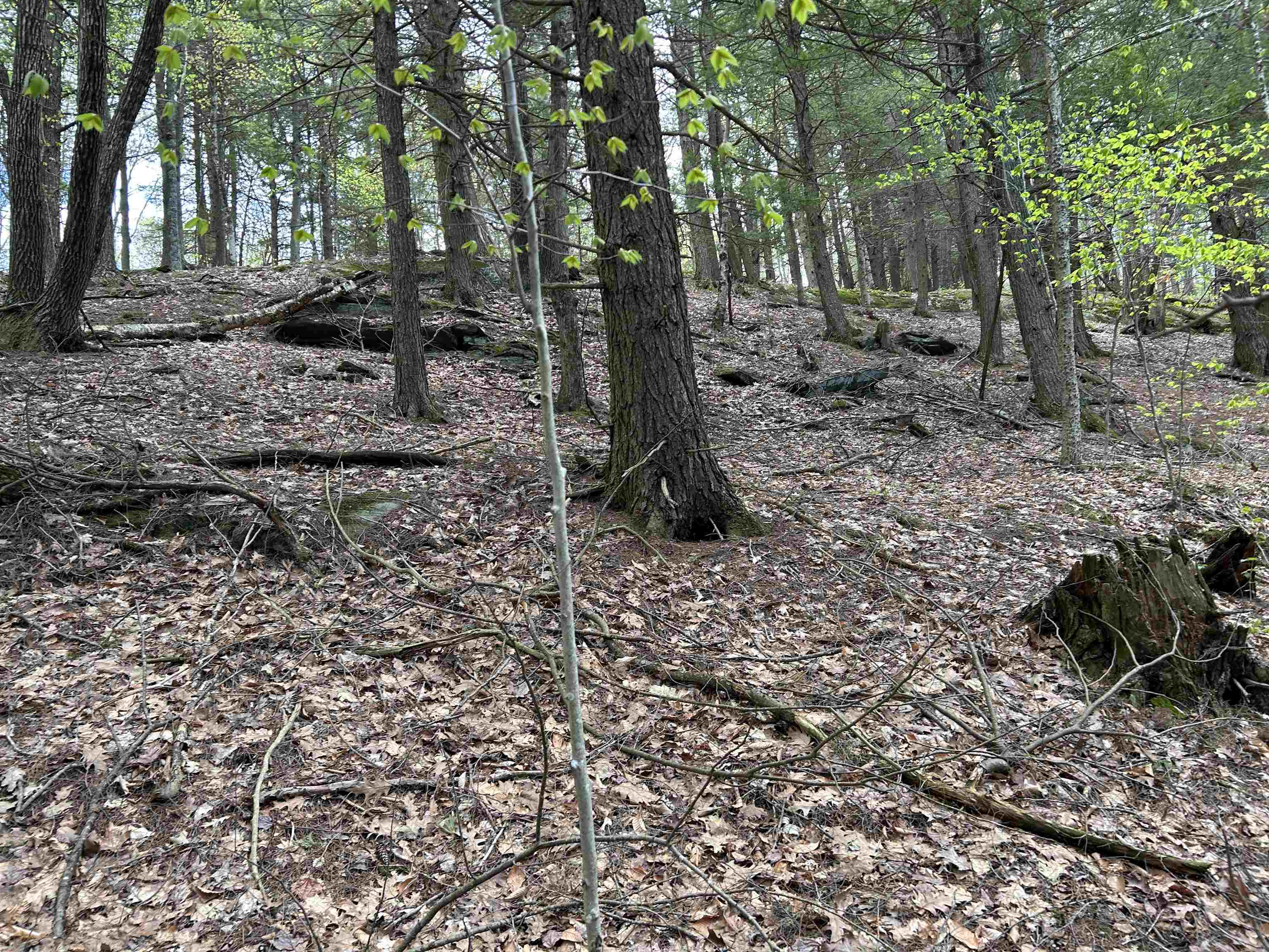 188 Rattlesnake Mountain Road Townshend, VT 05353 - Photo 27 of 39