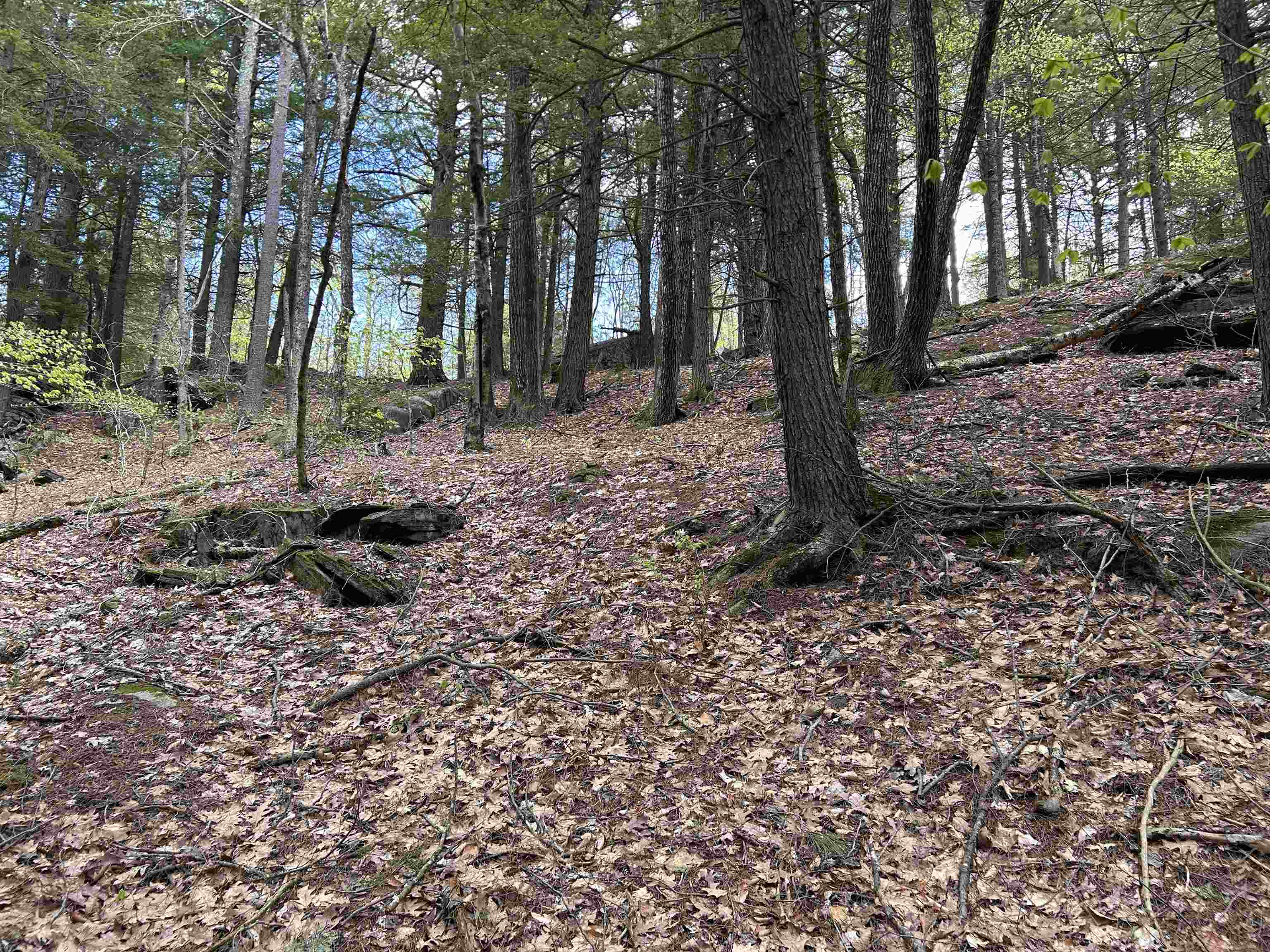 188 Rattlesnake Mountain Road Townshend, VT 05353 - Photo 28 of 39