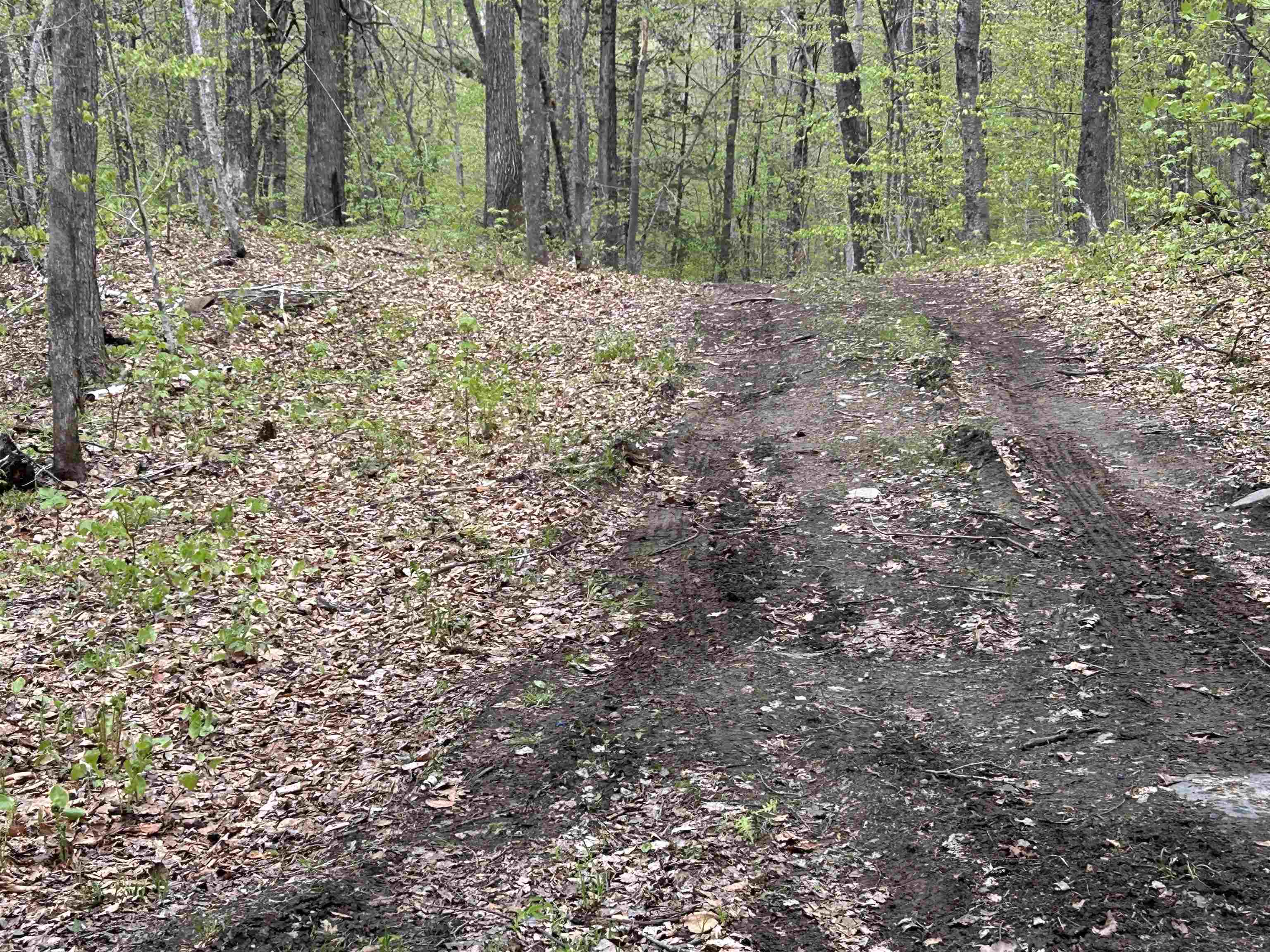 188 Rattlesnake Mountain Road Townshend, VT 05353 - Photo 30 of 39