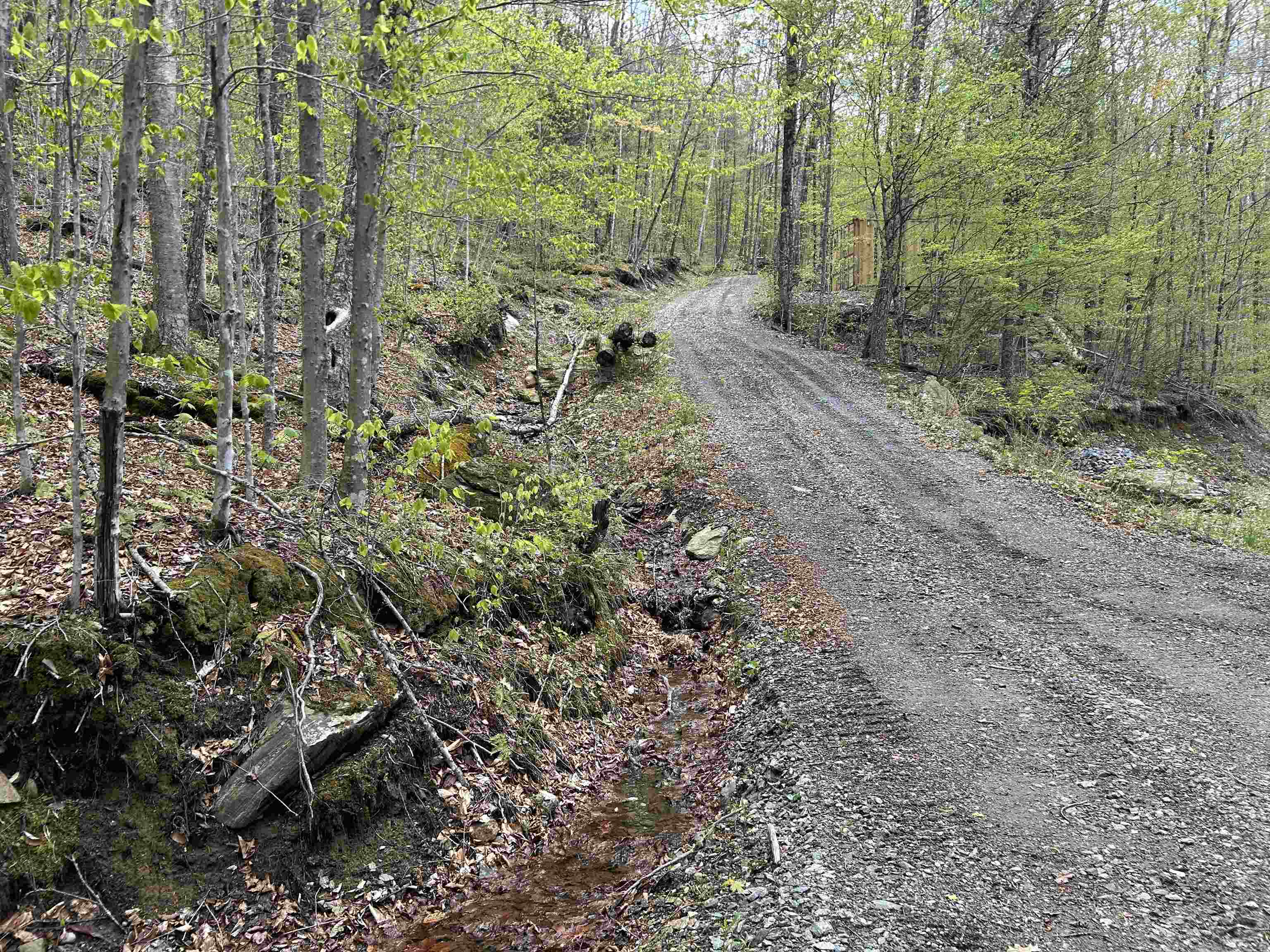 188 Rattlesnake Mountain Road Townshend, VT 05353 - Photo 3 of 39