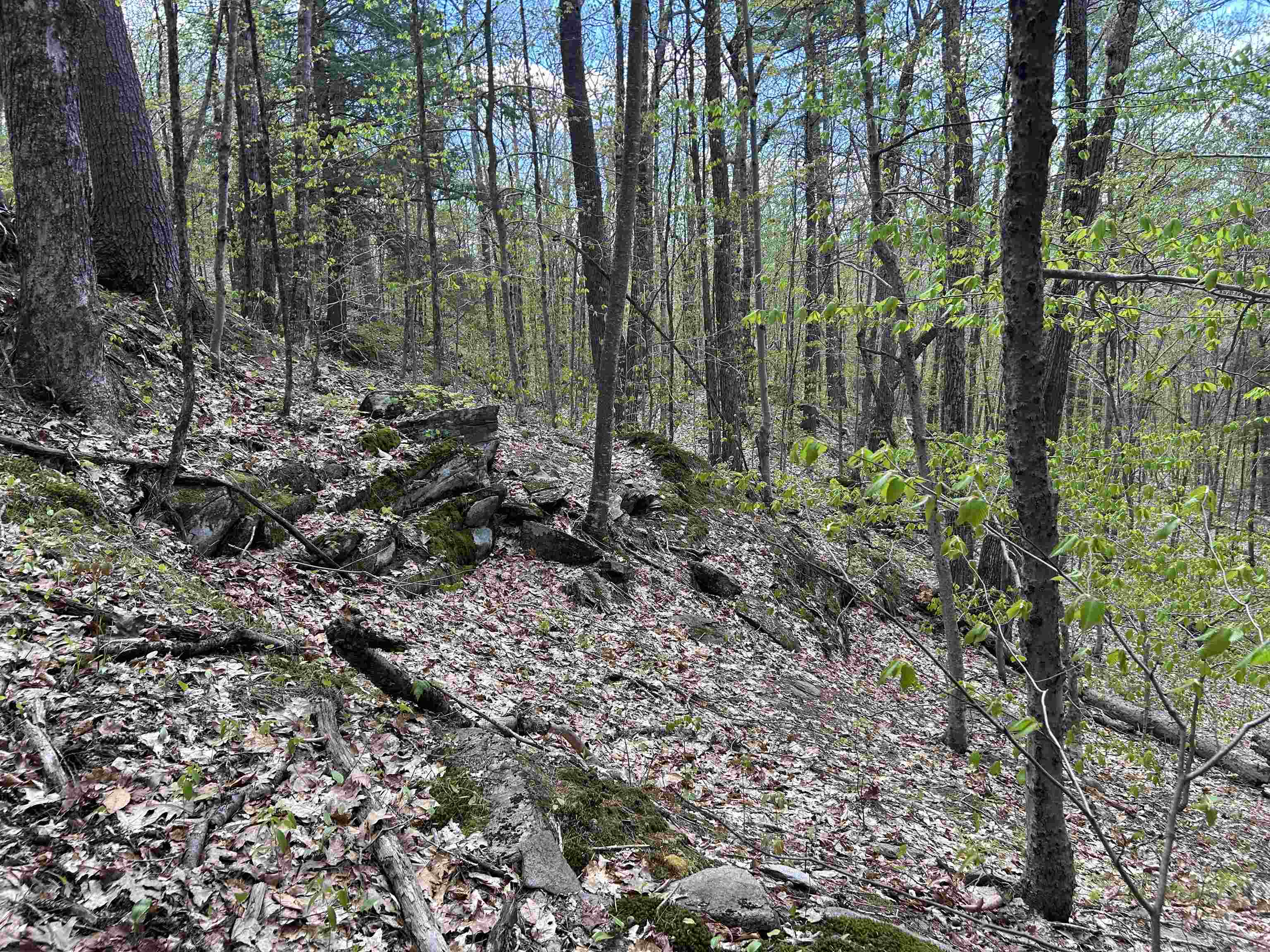 188 Rattlesnake Mountain Road Townshend, VT 05353 - Photo 31 of 39