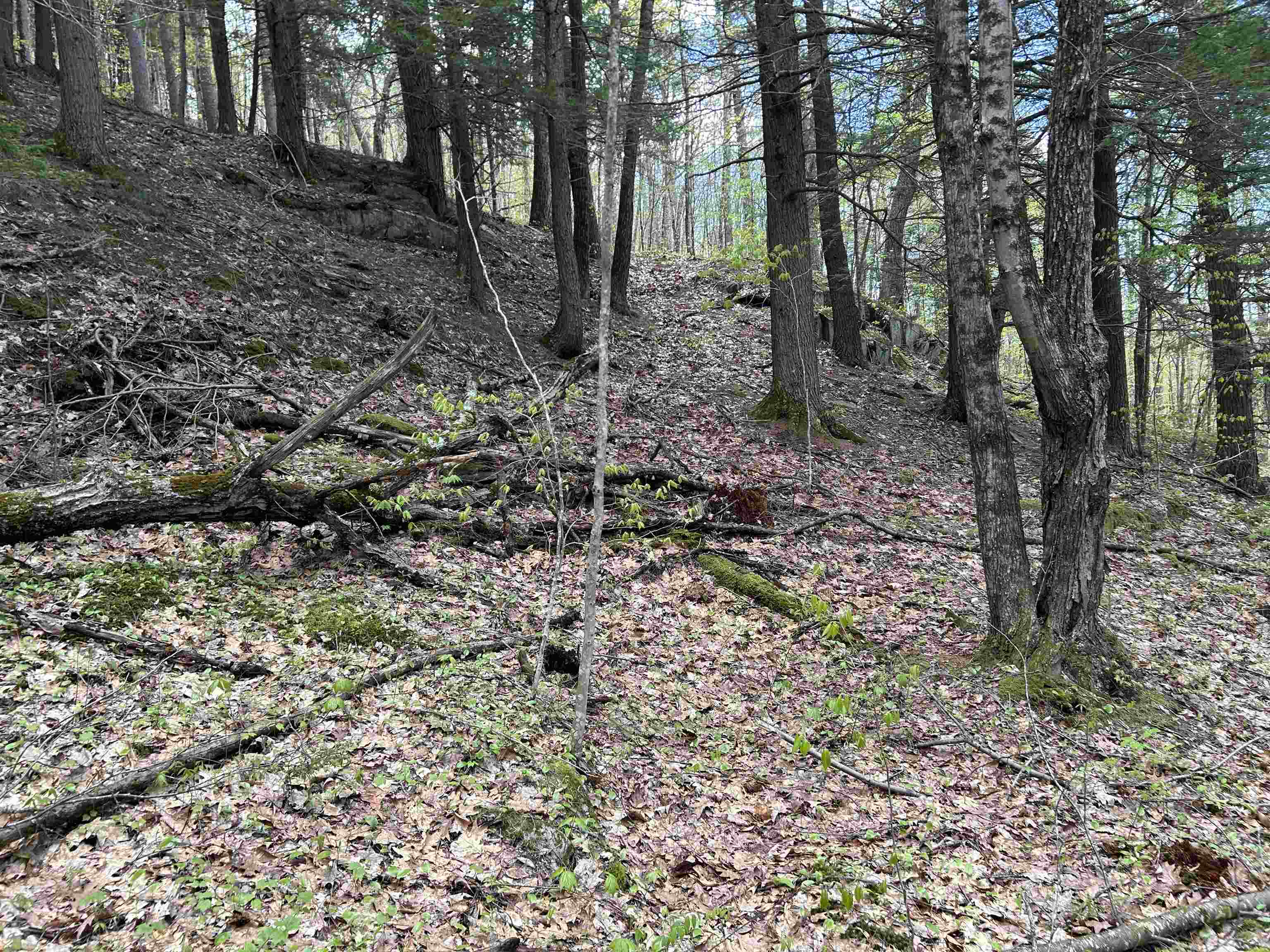 188 Rattlesnake Mountain Road Townshend, VT 05353 - Photo 32 of 39