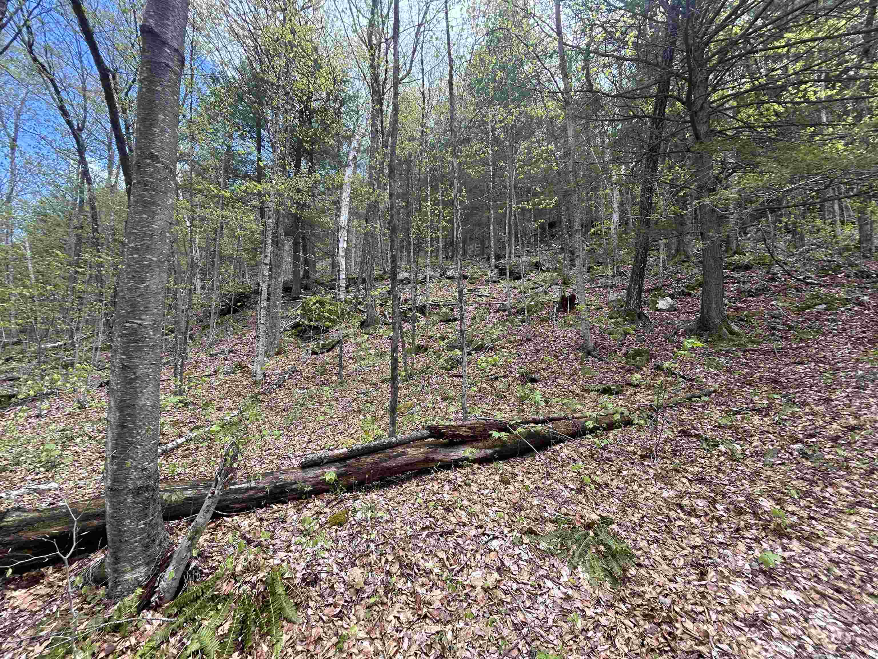 188 Rattlesnake Mountain Road Townshend, VT 05353 - Photo 34 of 39