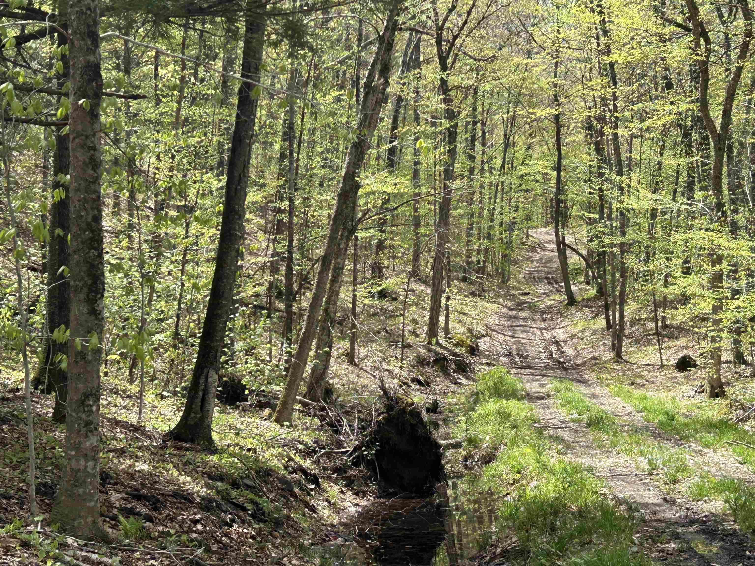 188 Rattlesnake Mountain Road Townshend, VT 05353 - Photo 36 of 39