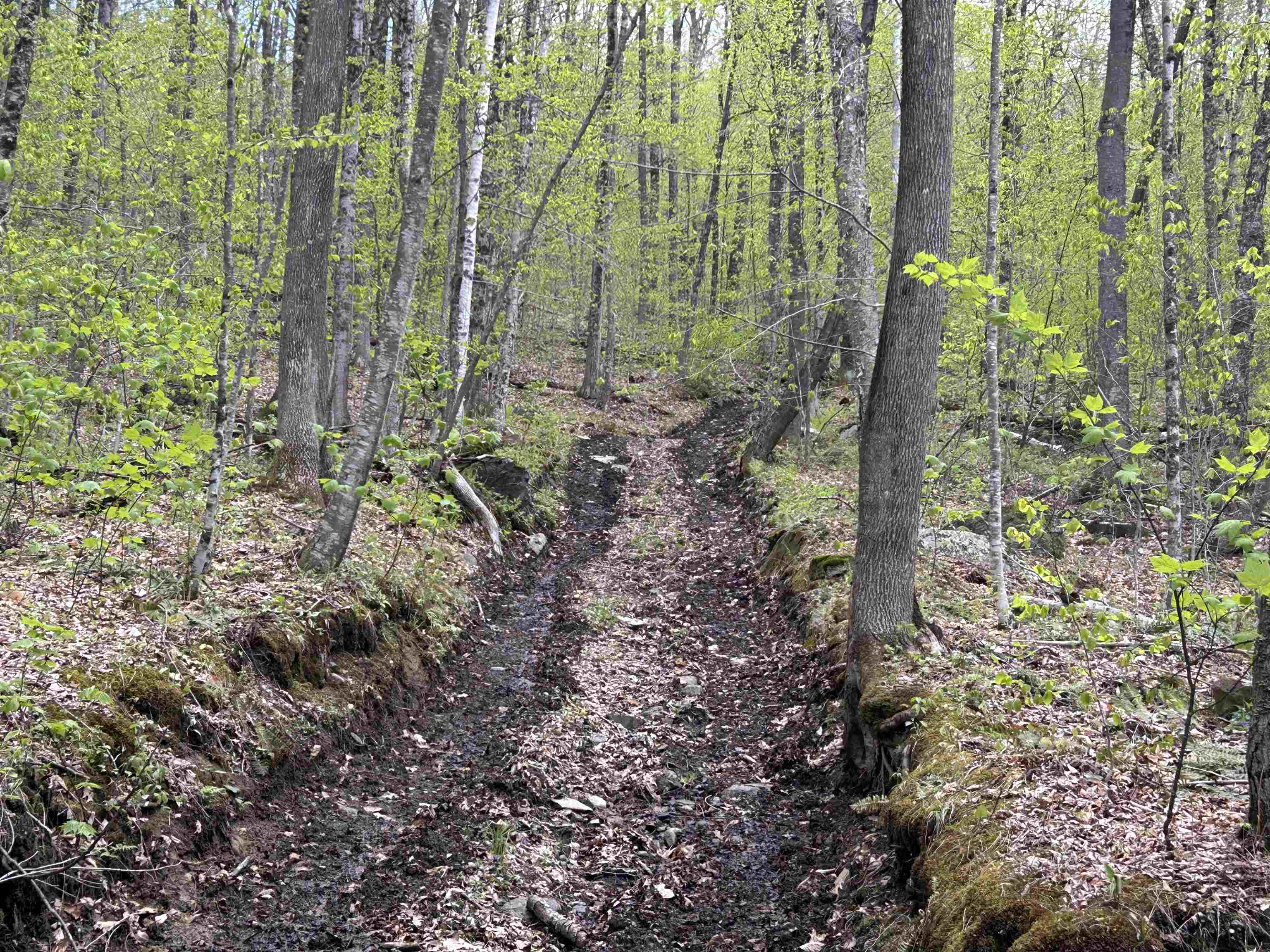 188 Rattlesnake Mountain Road Townshend, VT 05353 - Photo 37 of 39