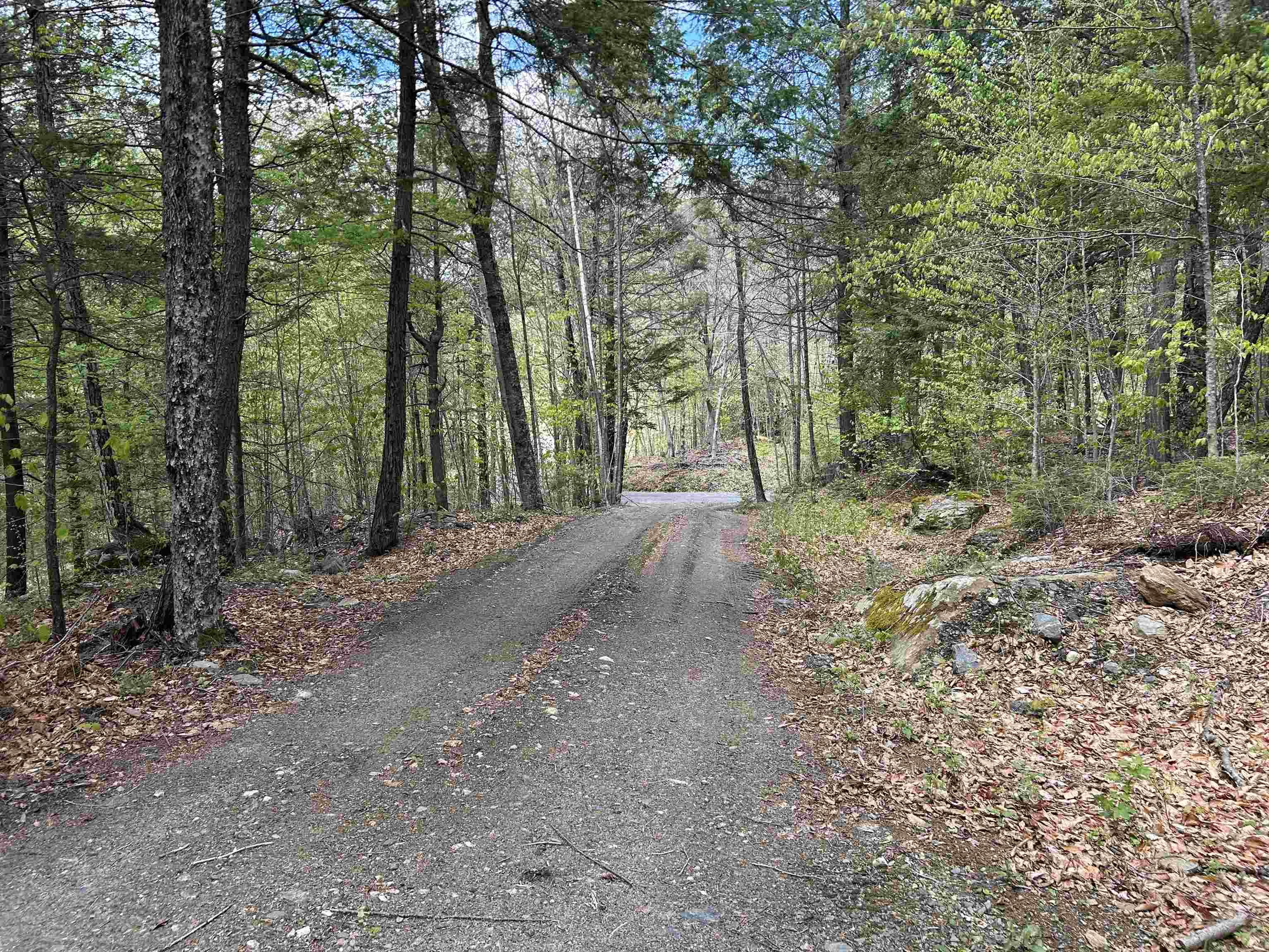 188 Rattlesnake Mountain Road Townshend, VT 05353 - Photo 4 of 39