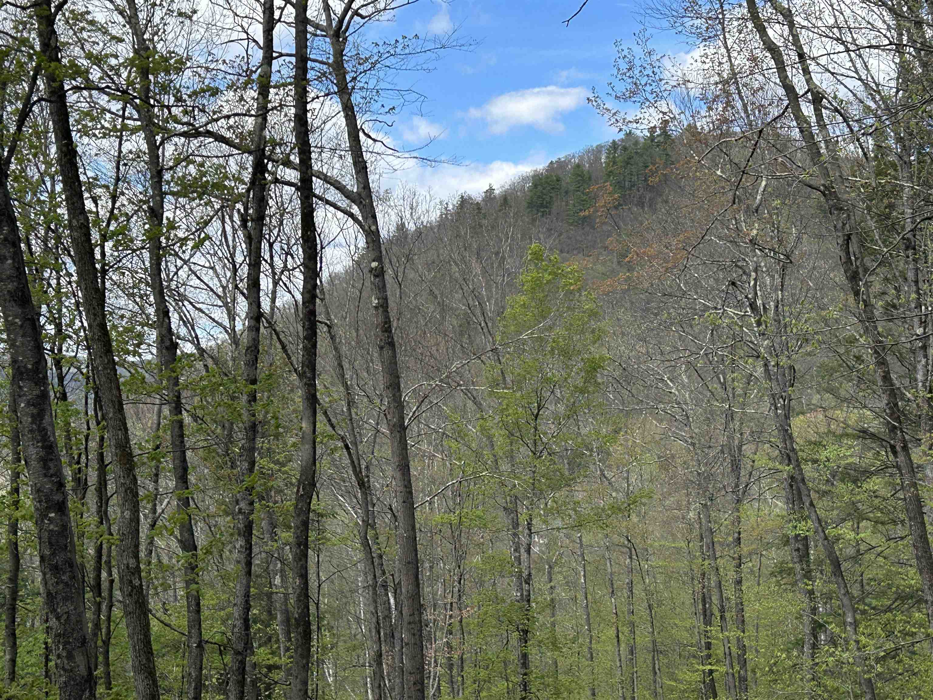 188 Rattlesnake Mountain Road Townshend, VT 05353 - Photo 6 of 39