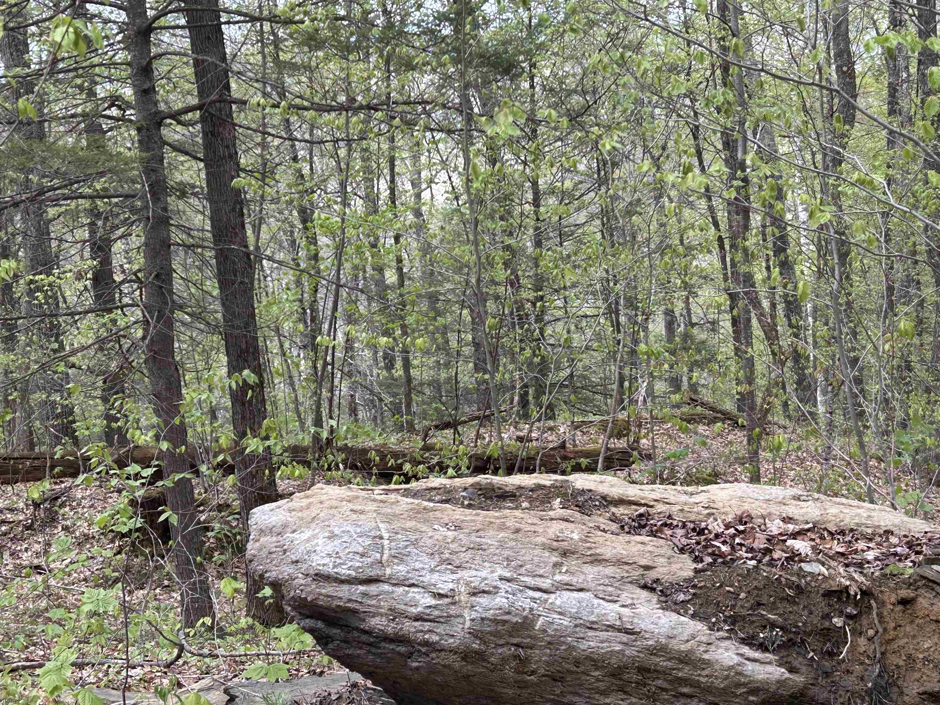 188 Rattlesnake Mountain Road Townshend, VT 05353 - Photo 9 of 39
