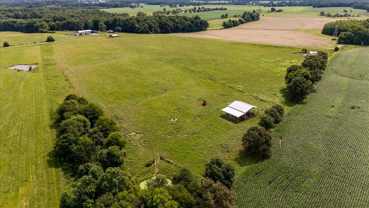 0 Marks Road Leoma, TN 38468 - Photo 14 of 25