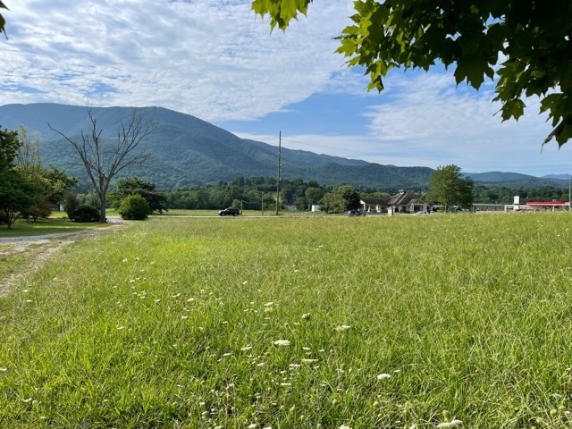 7 Wears Valley Road Sevierville, TN 37862 - Photo 3 of 13