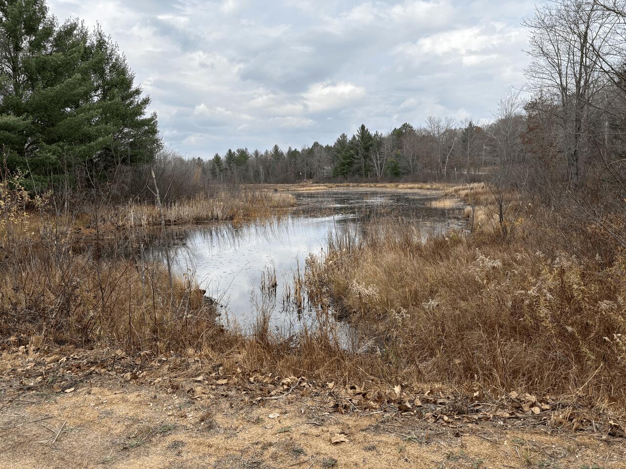 5197 Sunset Trail Road Northeast Kalkaska, MI 49646 - Photo 52 of 69 Gallery Image 52